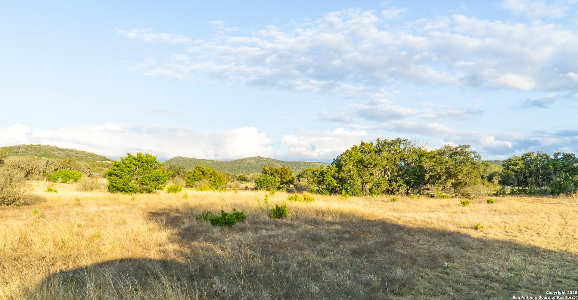 1593 County Road 354, UTOPIA, TX, 78884