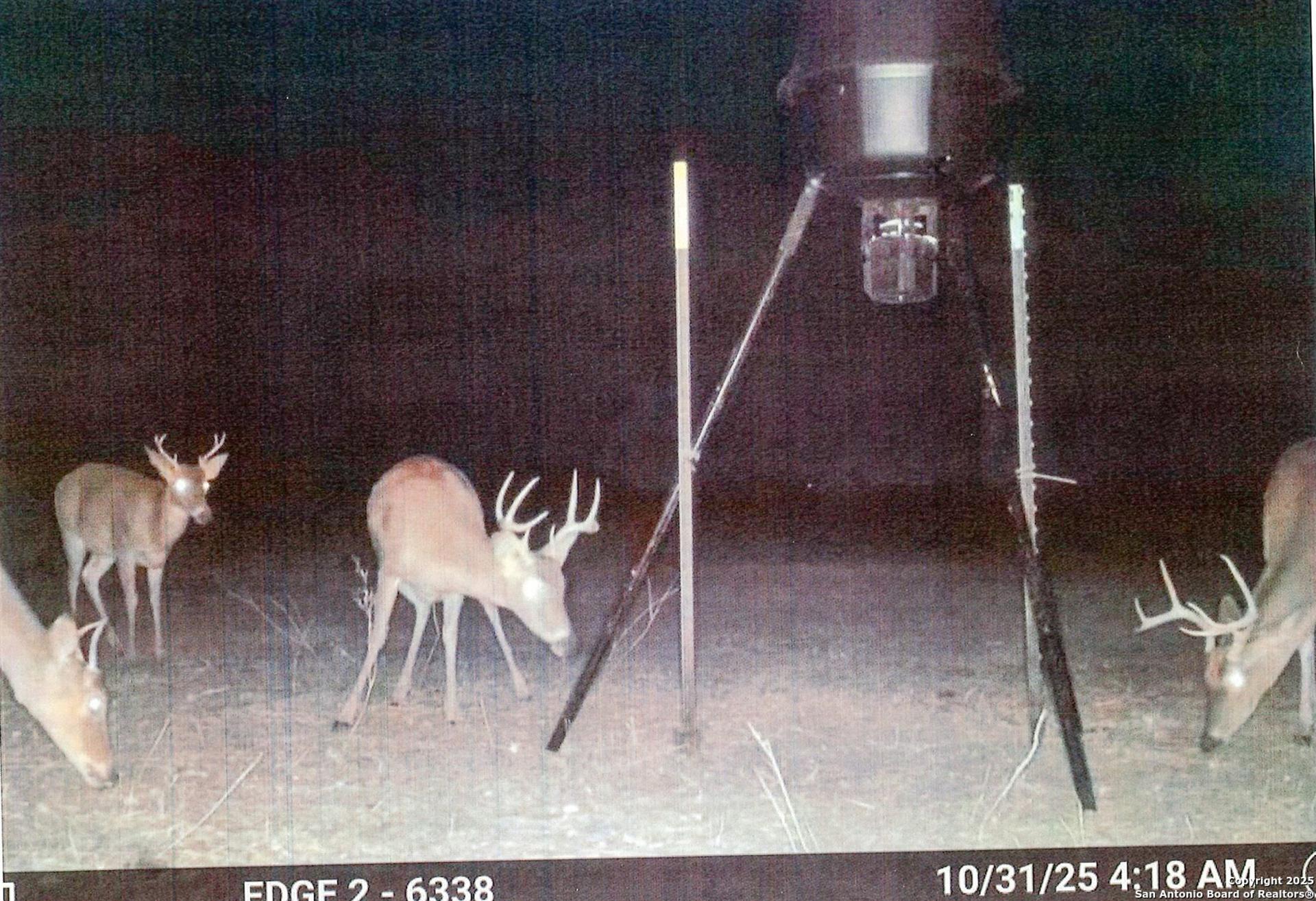 1173 Charco Rd, TULETA, TX, 78162
