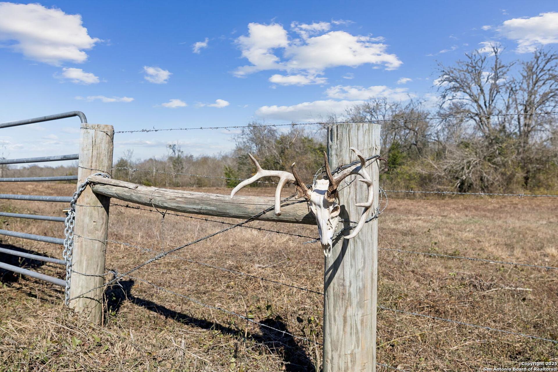 3424 Post Oak Point, NEWULM, TX, 78950