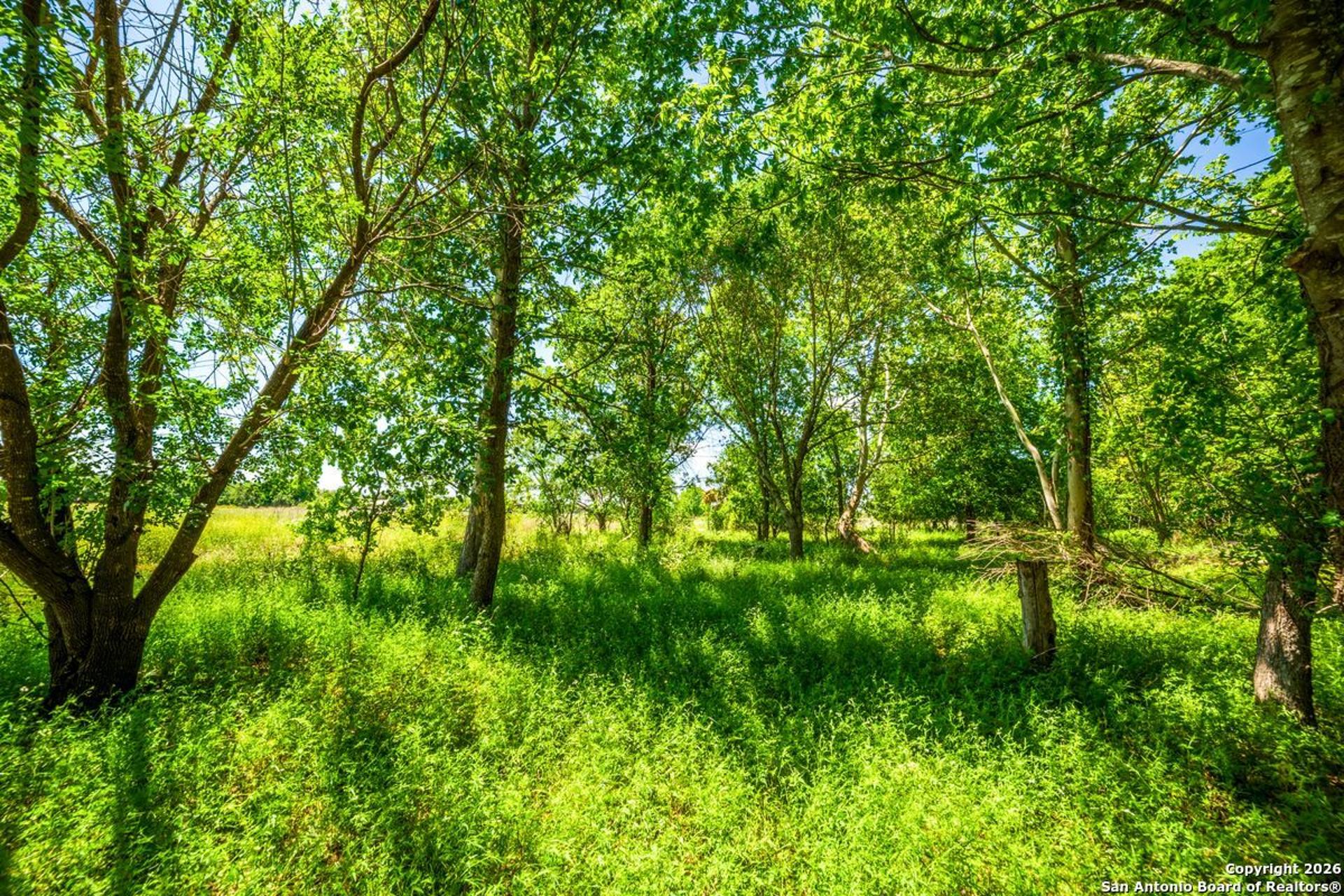 8623 Huber Road, SEGUIN, TX, 78155