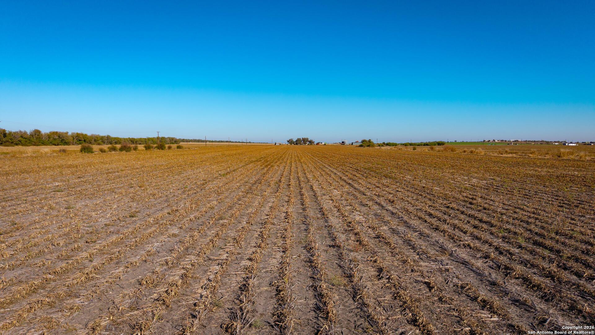 TBD County Road 5715, NATALIA, TX, 78059