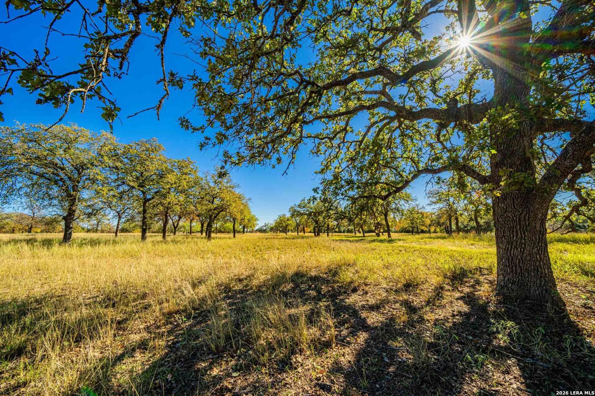 183 Teton Lane, FREDERICKS, TX, 78624