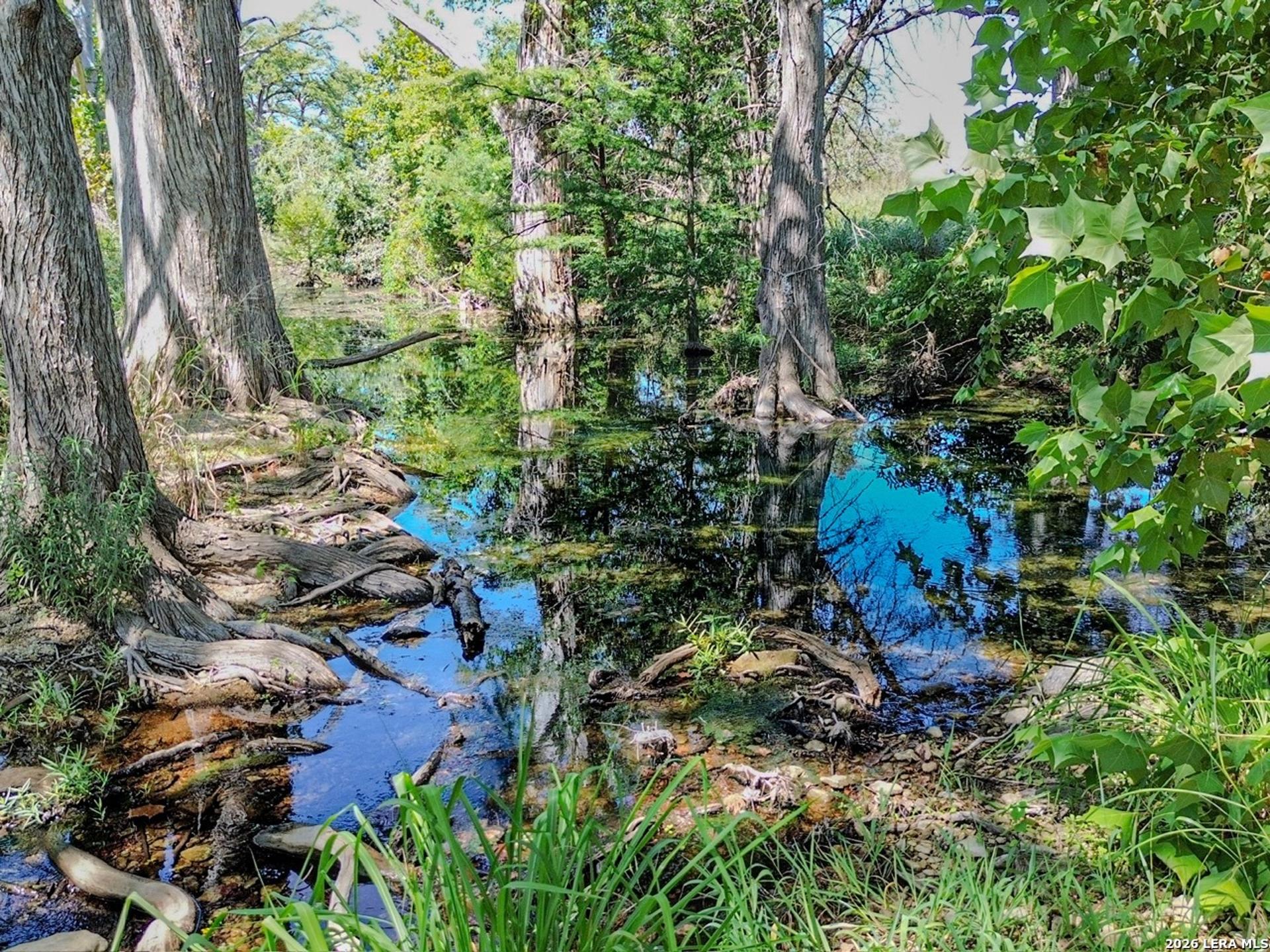 000 Ranch Rd 473, BLANCO, TX, 78606