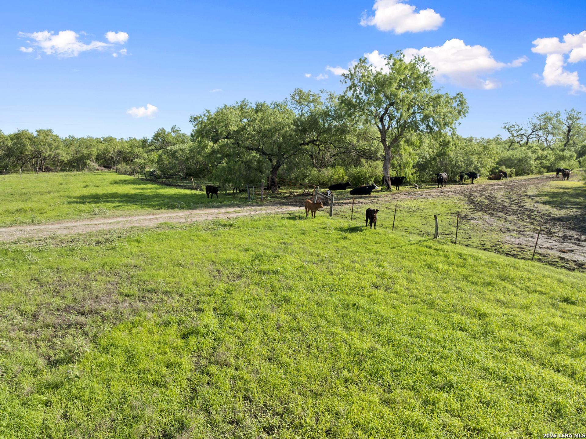 3407 Cr 215, MCCOY, TX, 78147
