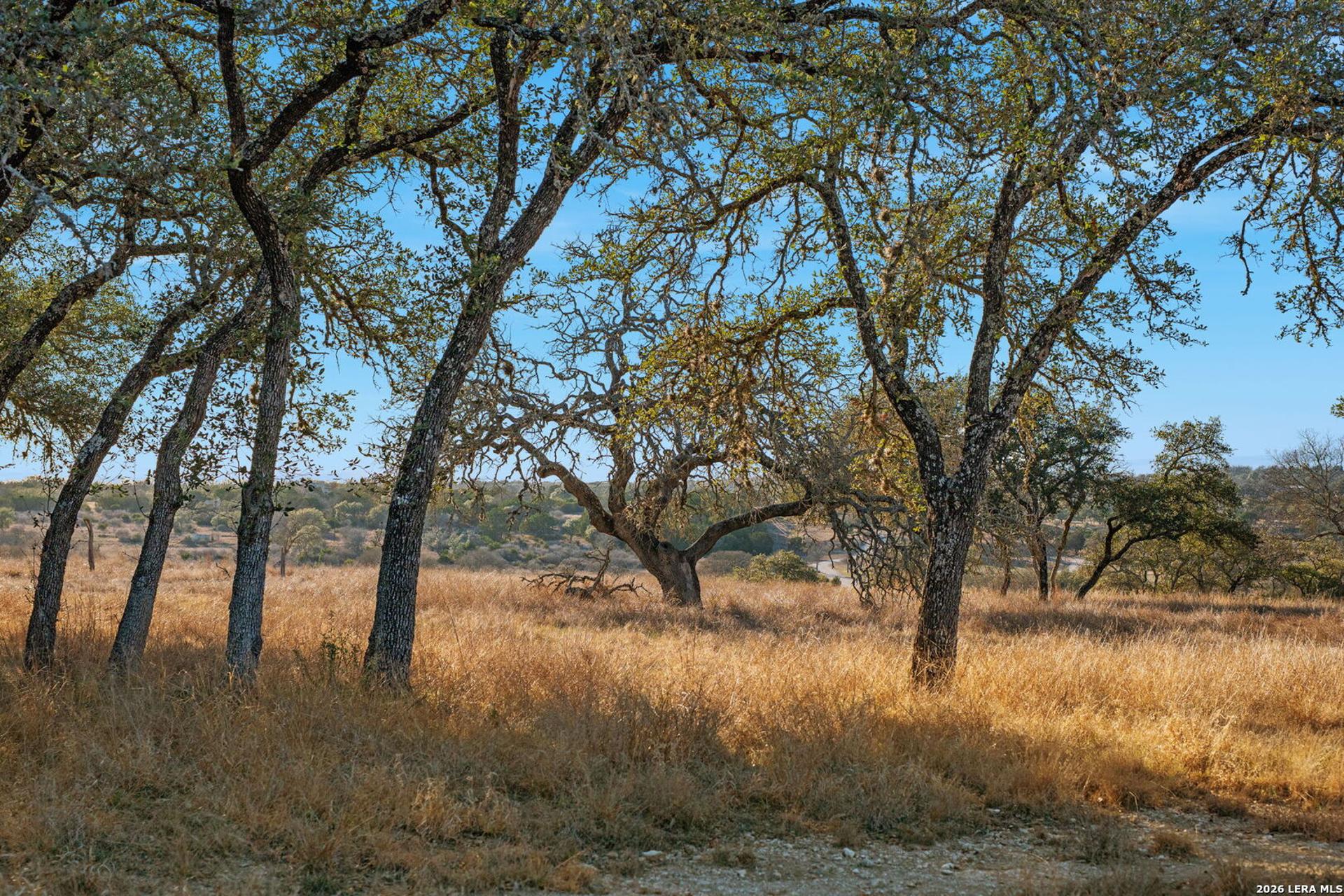 521 Bluff Creek Road, CENTERPOIN, TX, 78010