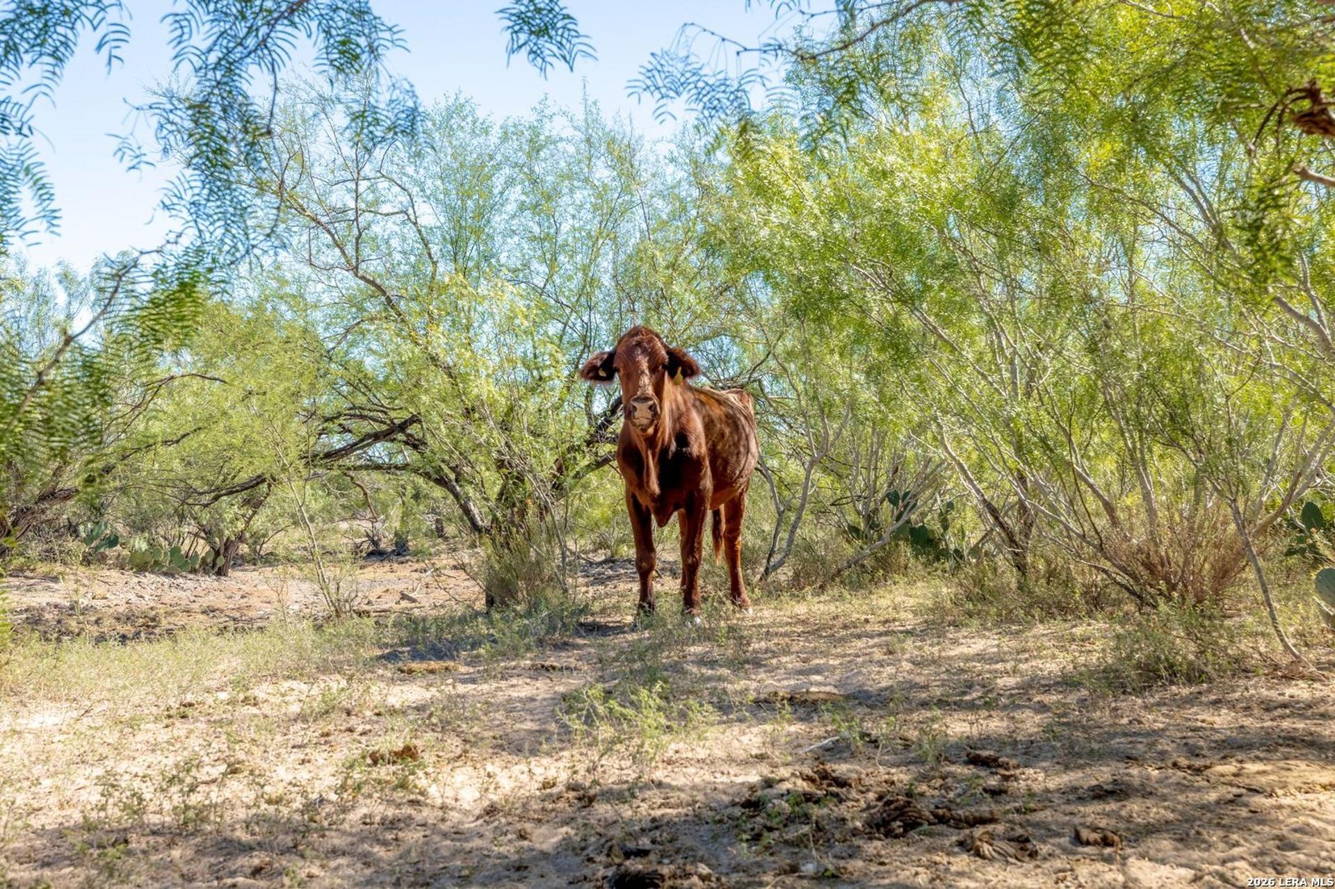 SH 359 359, LAREDO, TX, 78043