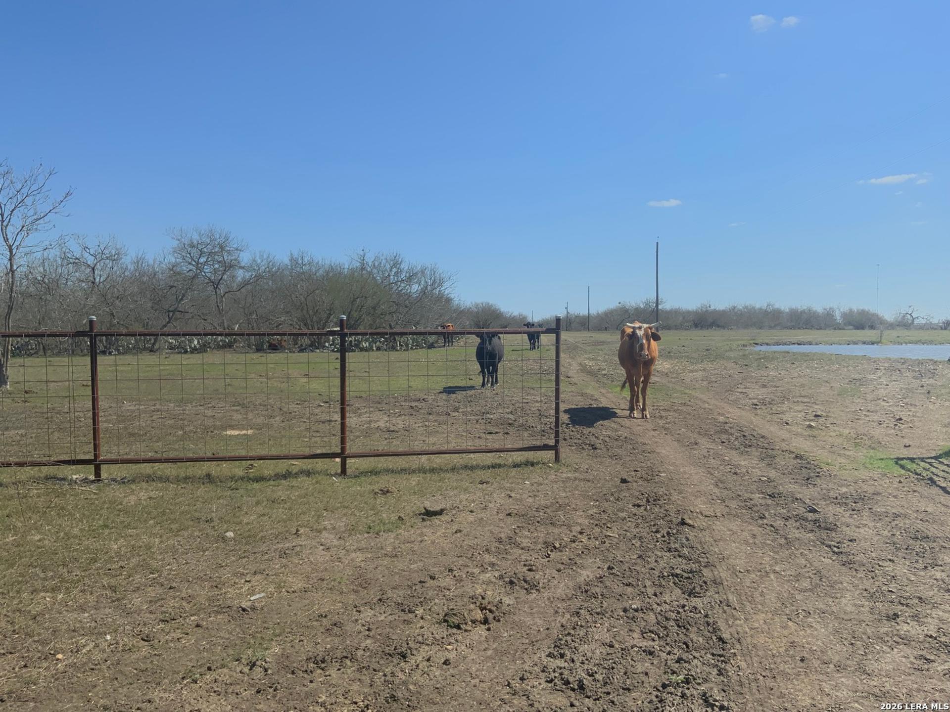 2647 Fm 3282, GONZALES, TX, 78629