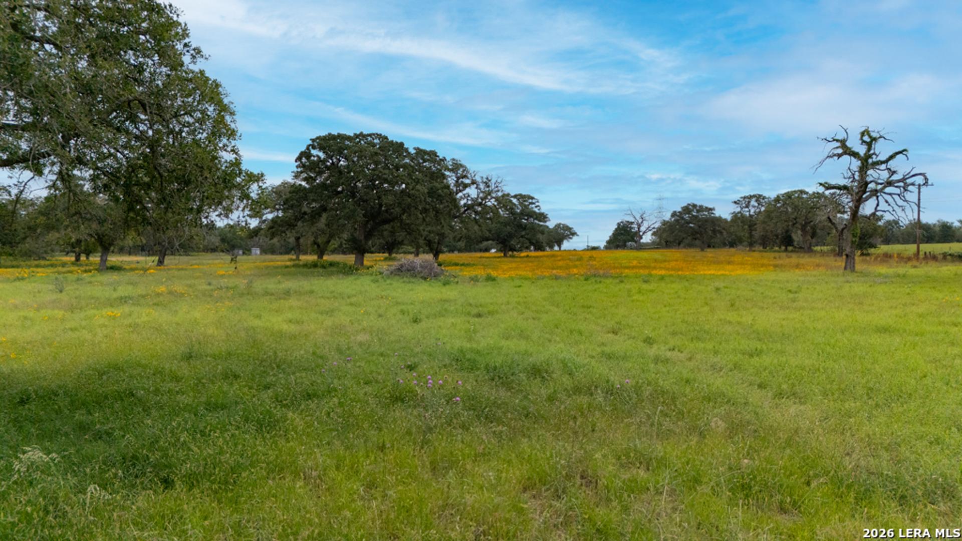 104 Longhorn, STOCKDALE, TX, 78160