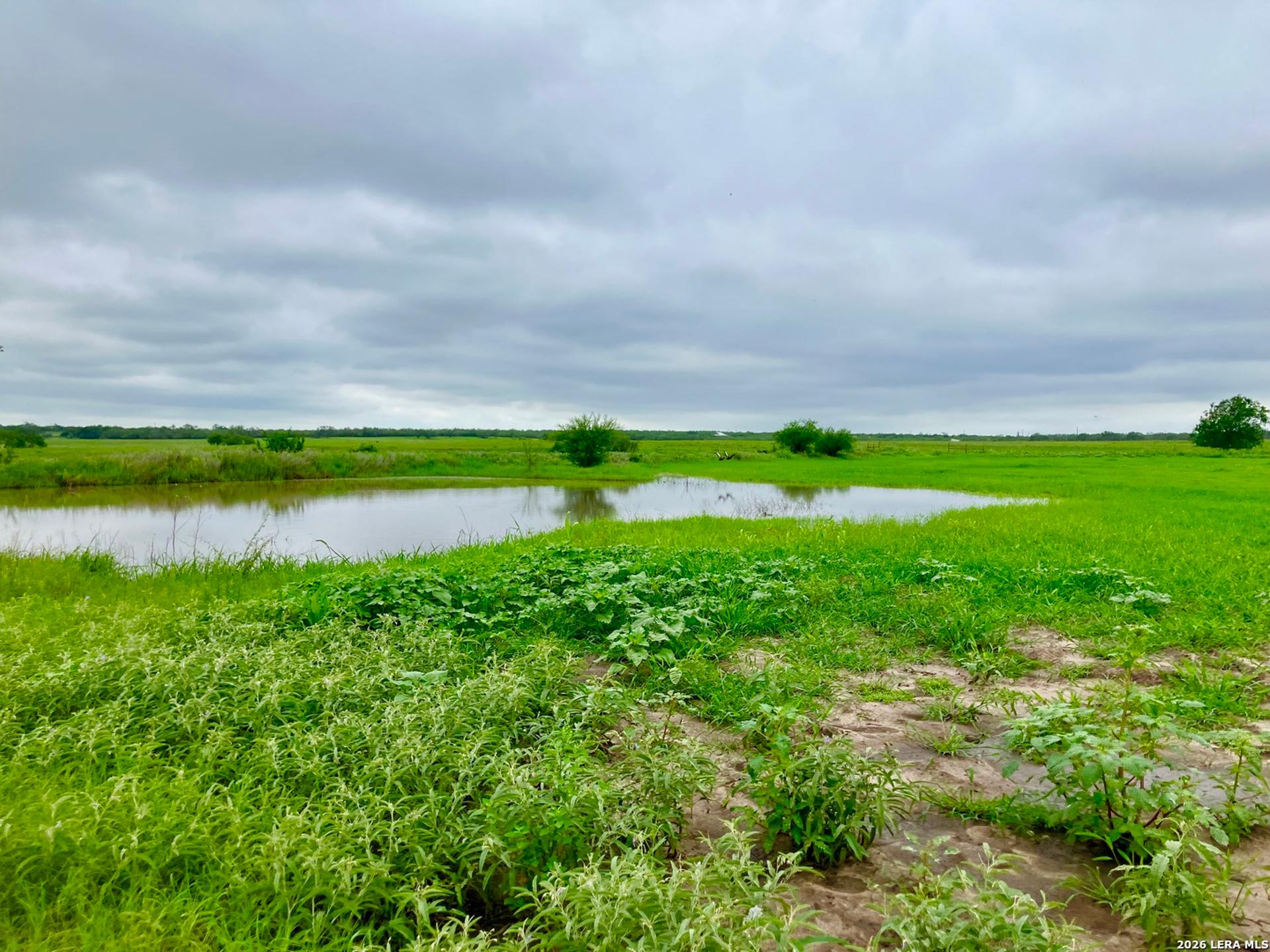 1152 A County Road 227, FALLS_CITY, TX, 78113