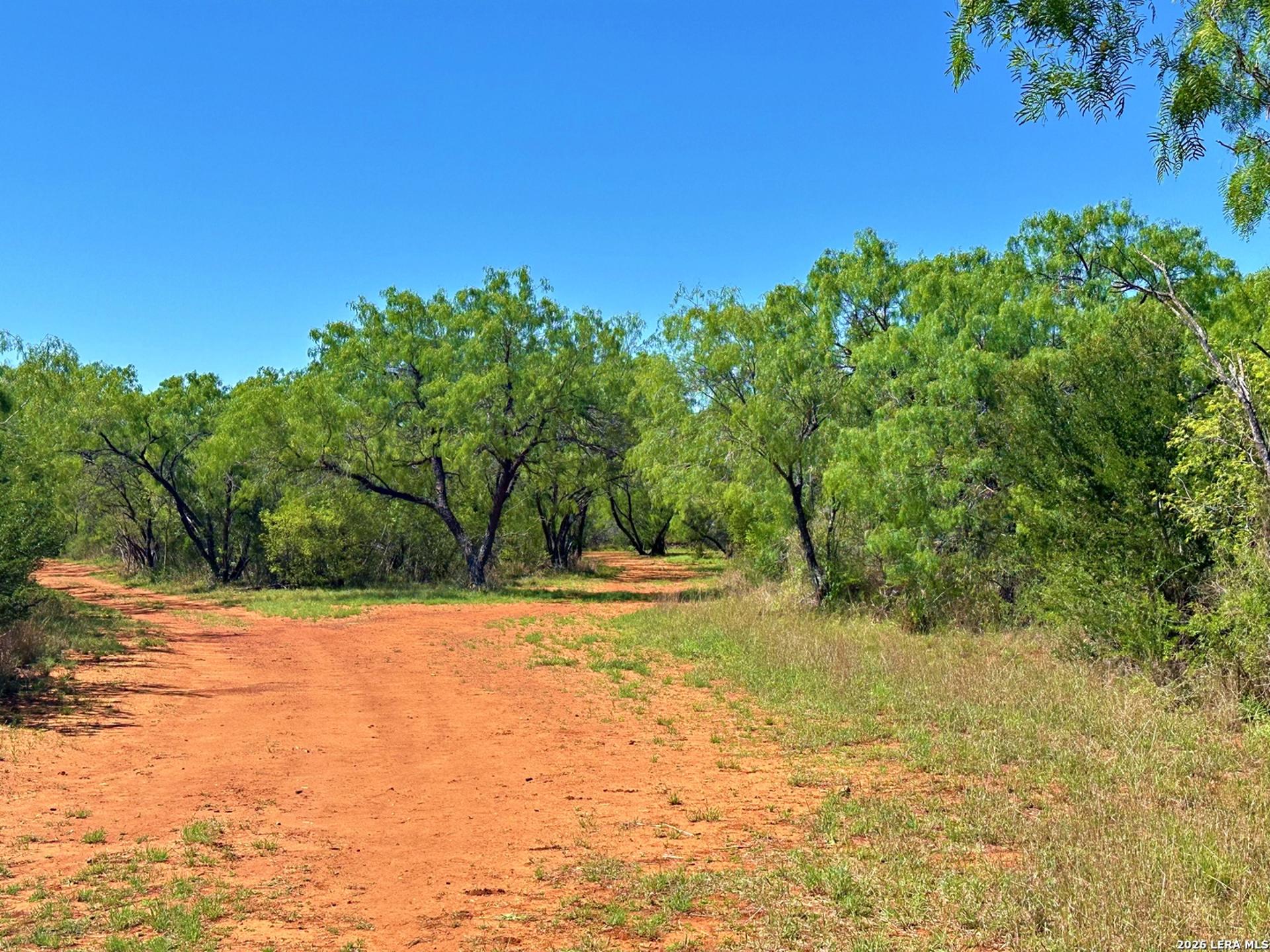 3265 Highway 97, JOURDANTON, TX, 78026