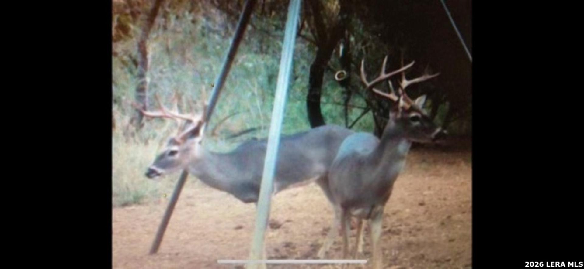 3265 Highway 97, JOURDANTON, TX, 78026