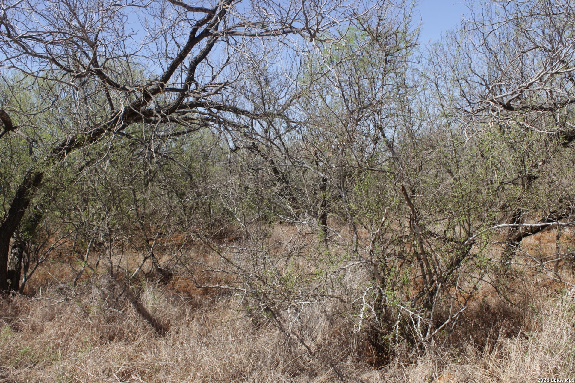 200 Rogers Ranch Road, BIG_WELLS, TX, 78830