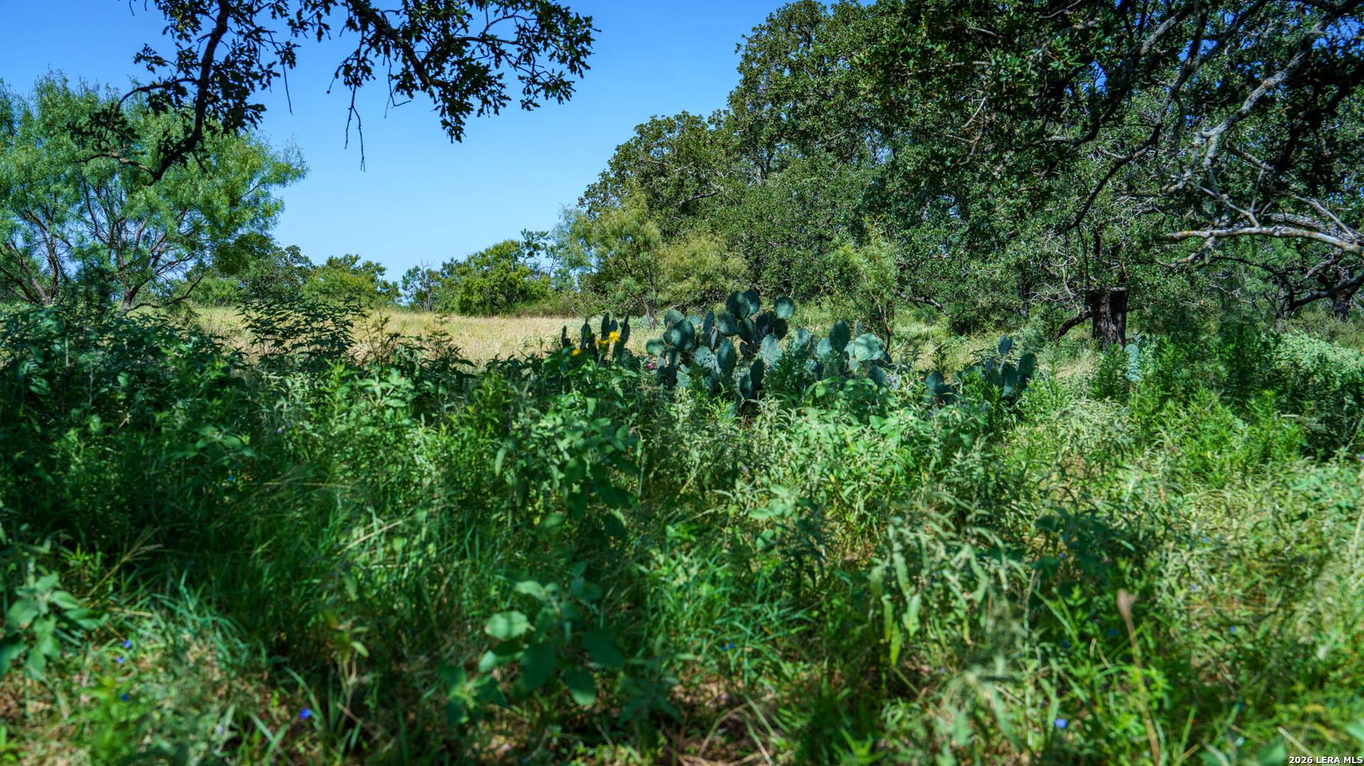 9978 hay spring, FREDONIA, TX, 76842