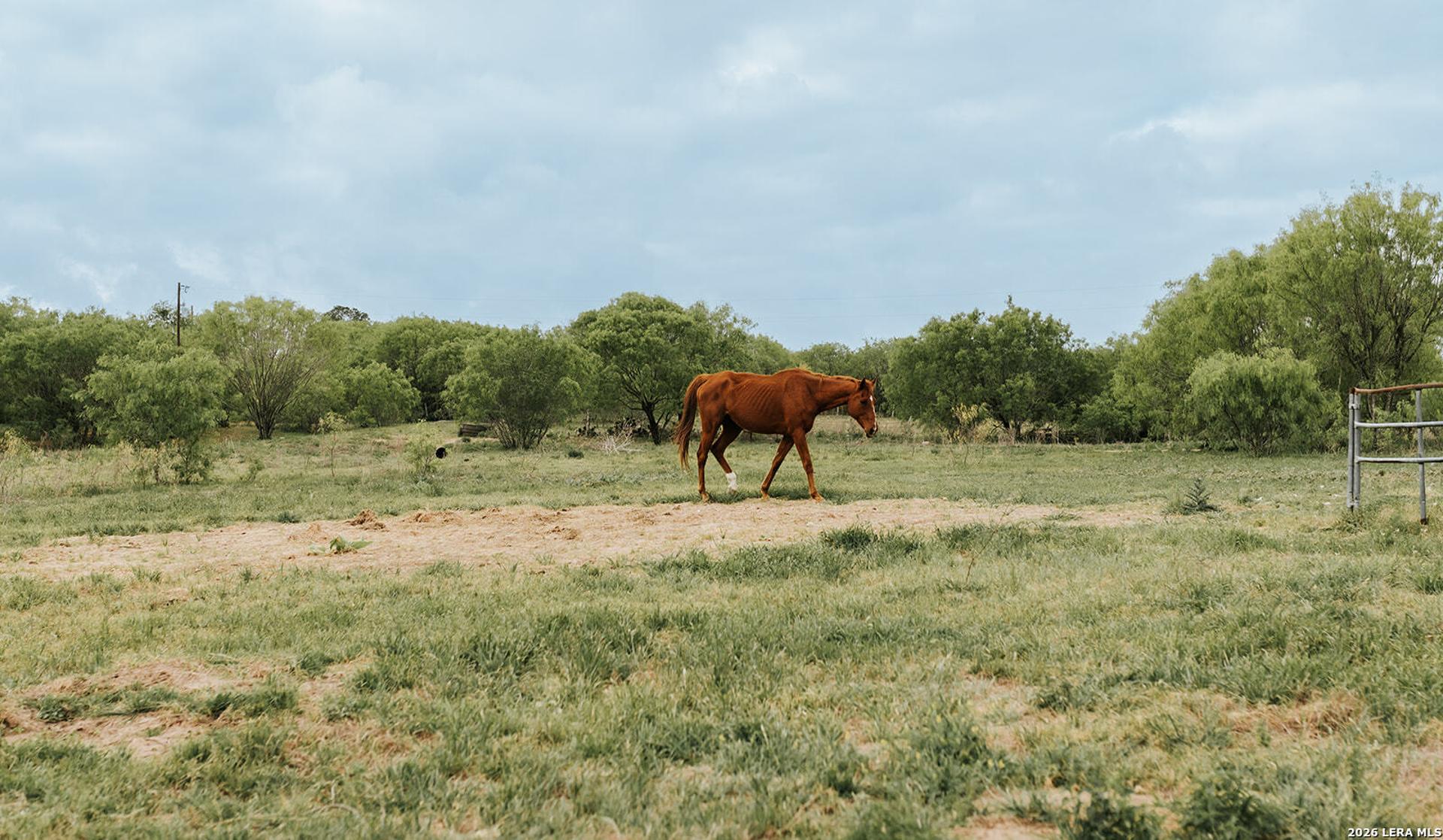 1065 fm 477, SEGUIN, TX, 78155