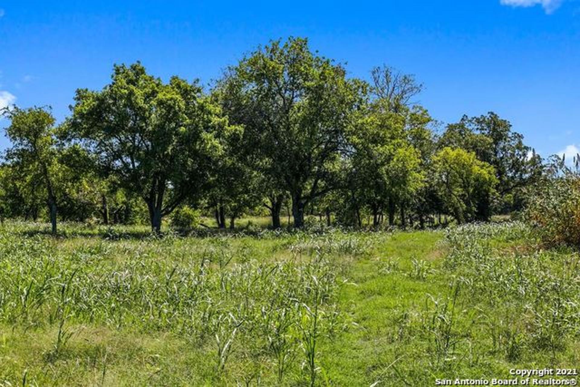 440 CHIMNEY VALLEY DR, BLANCO, TX, 78606