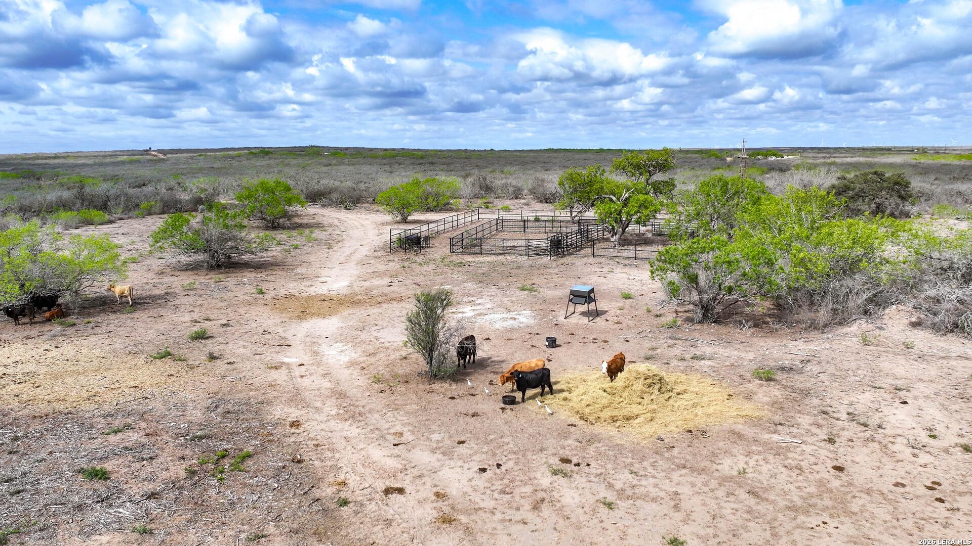 5518 County Road 310, FREER, TX, 78357