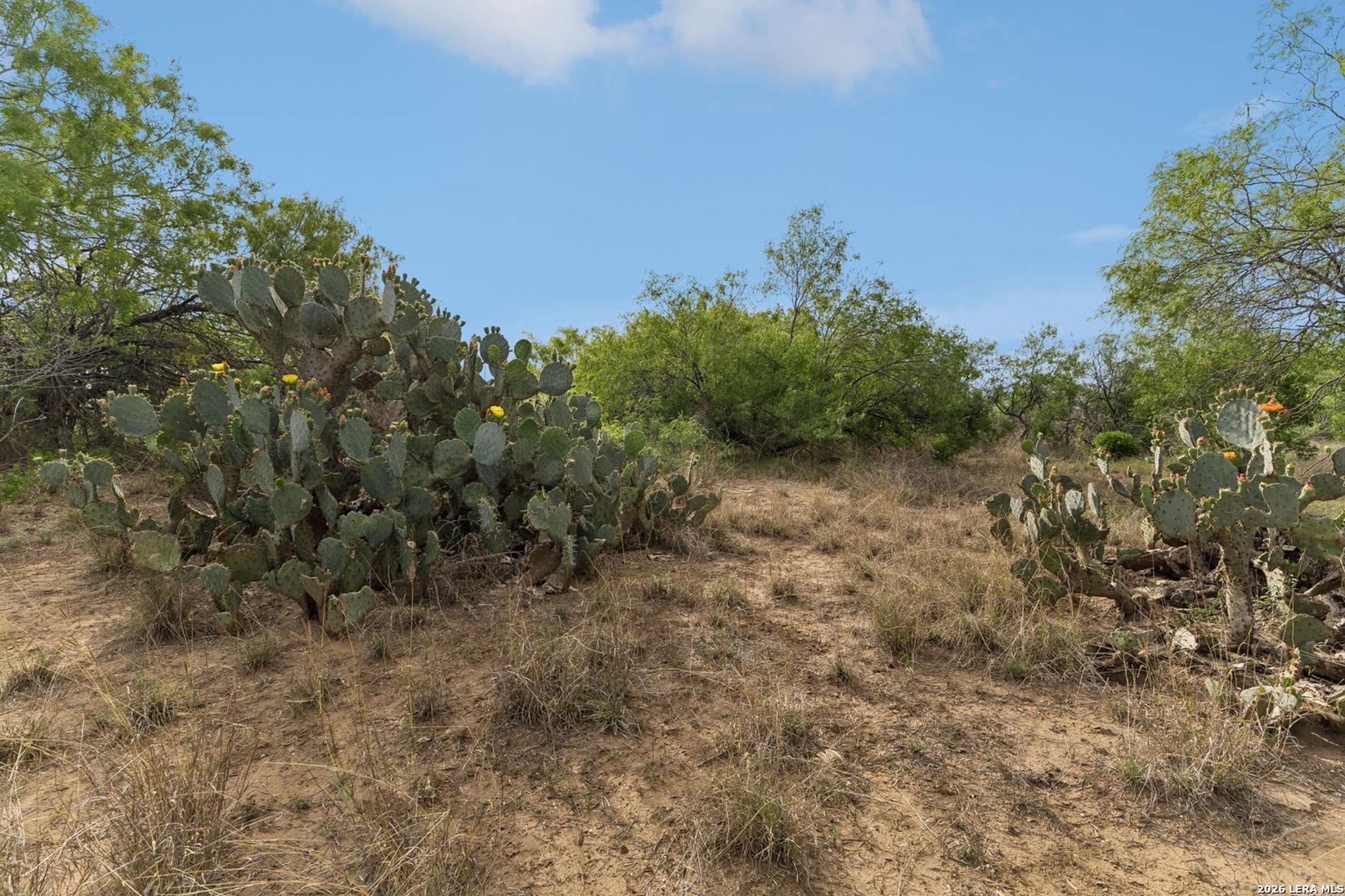 TBD Ih 37, SANANTONIO, TX, 78223