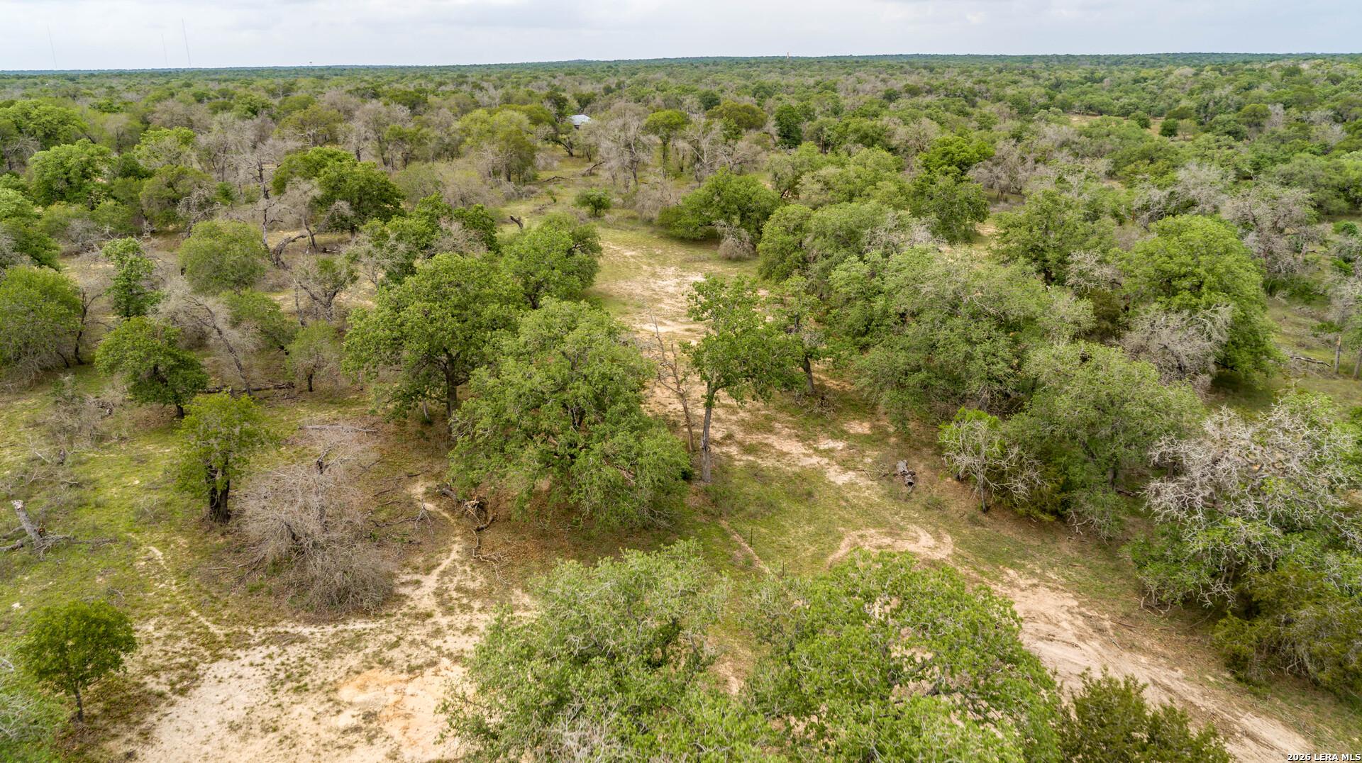 132 ROEMER LN W, FLORESVILL, TX, 78114