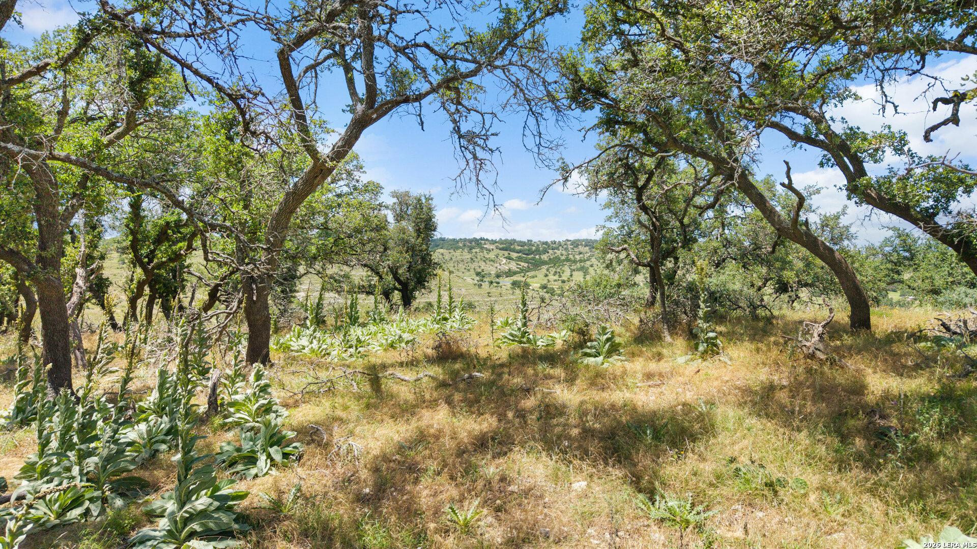 5032 Kendalia Rd, BLANCO, TX, 78606