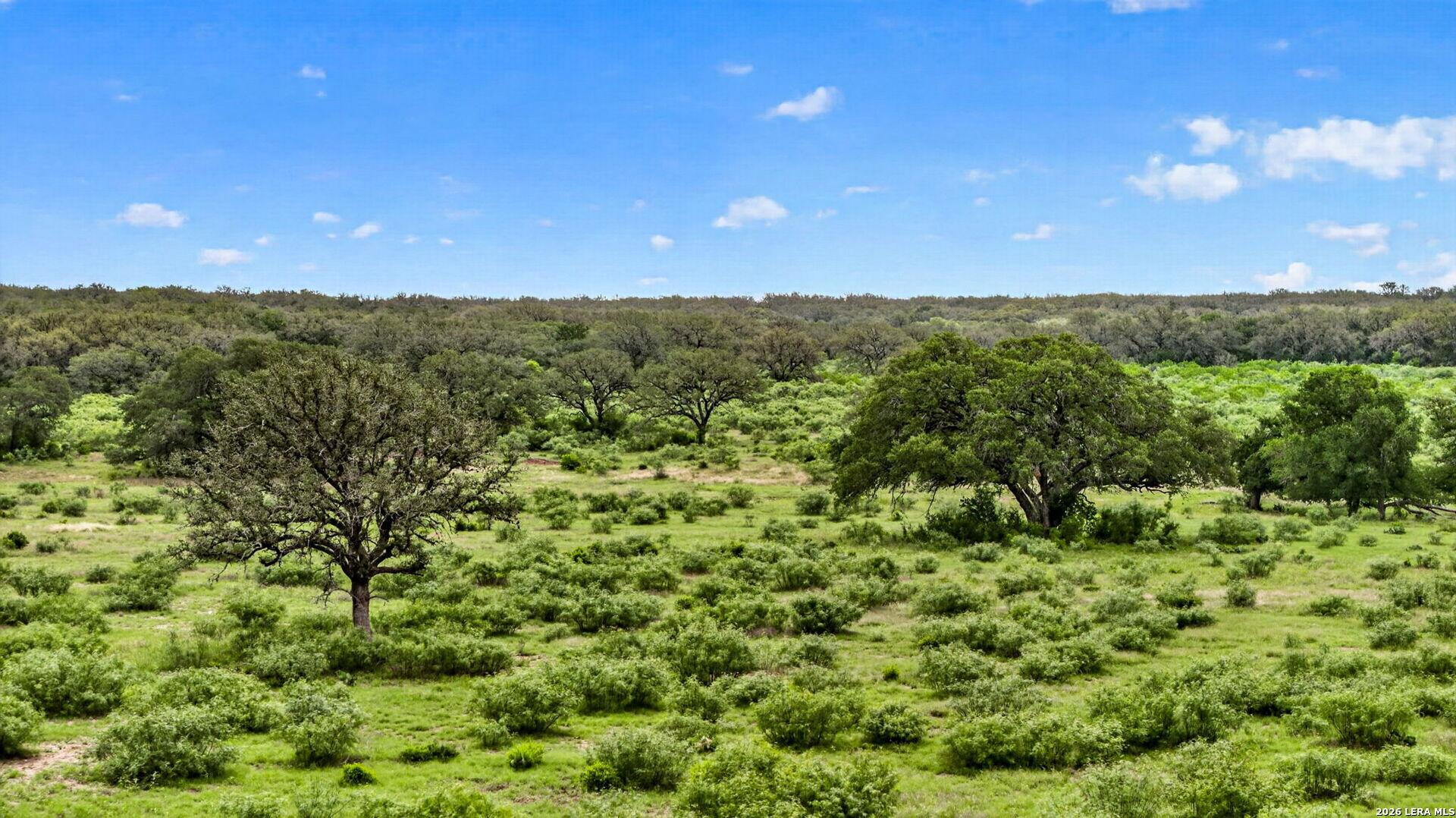 TBD FM 1796, DHANIS, TX, 78850