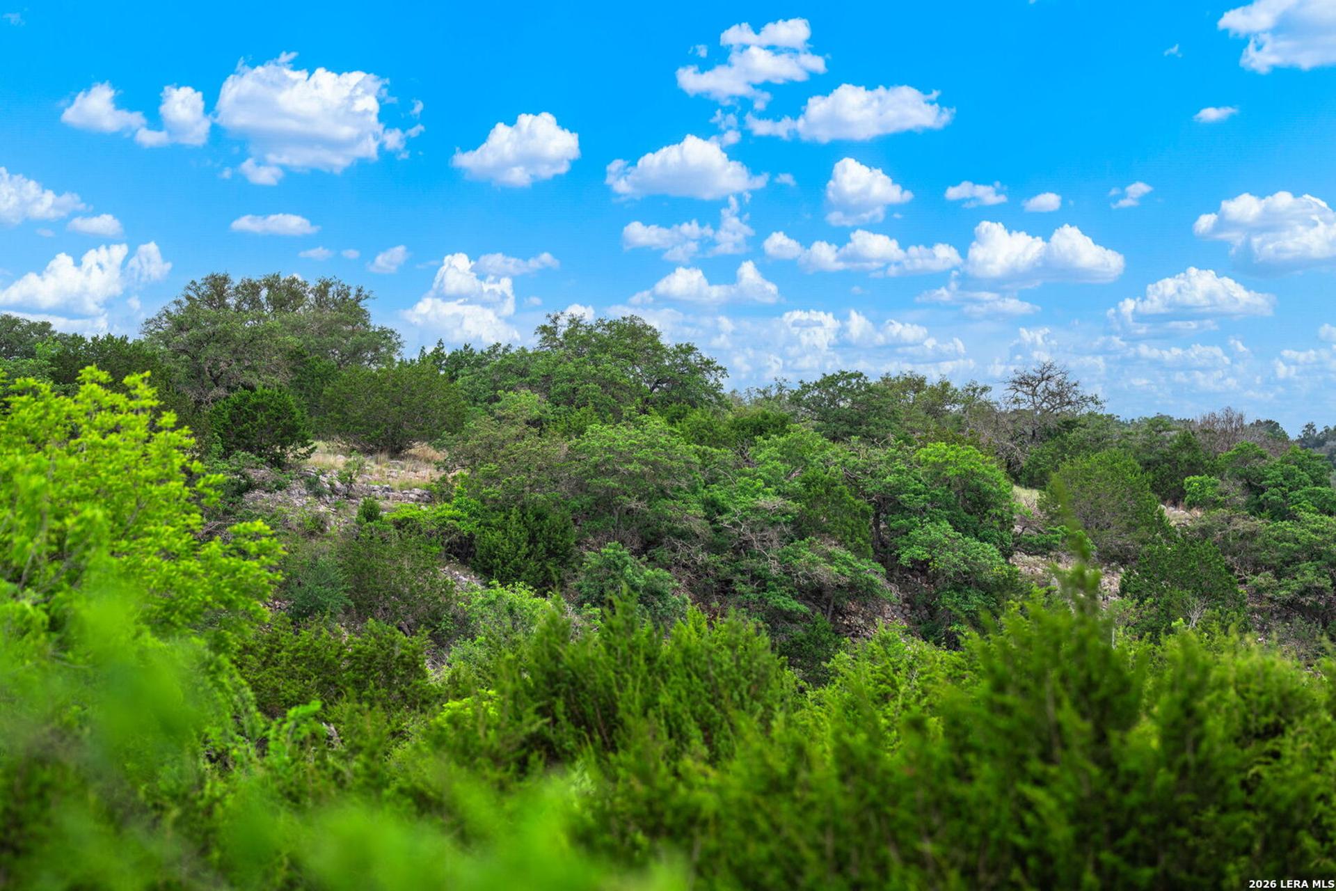 850 SD 24755, ROCKSPRING, TX, 78880