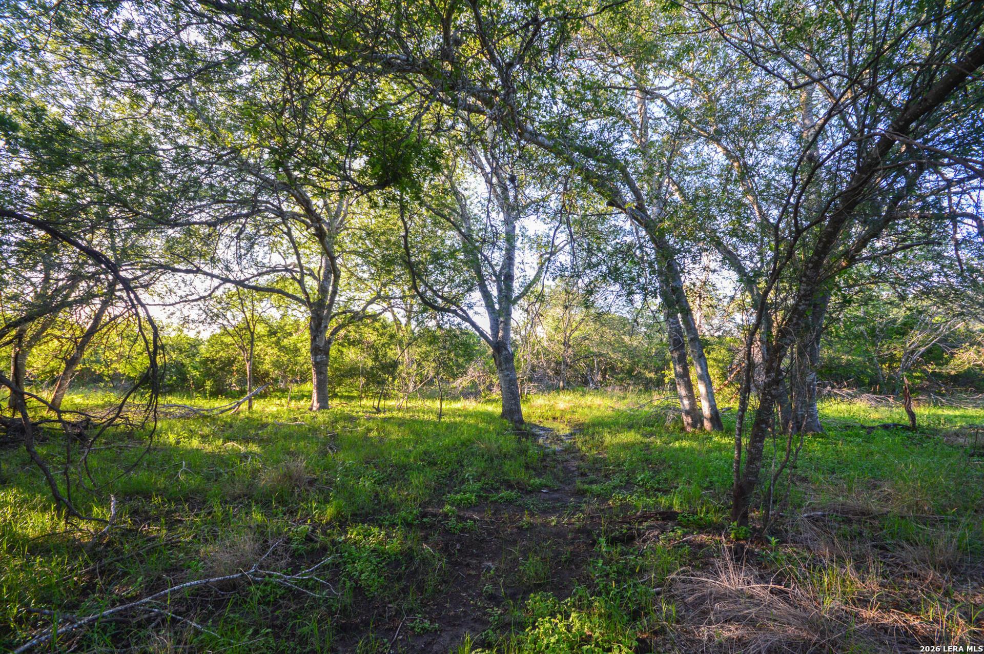 TBD CR 426, PLEASANTON, TX, 78064