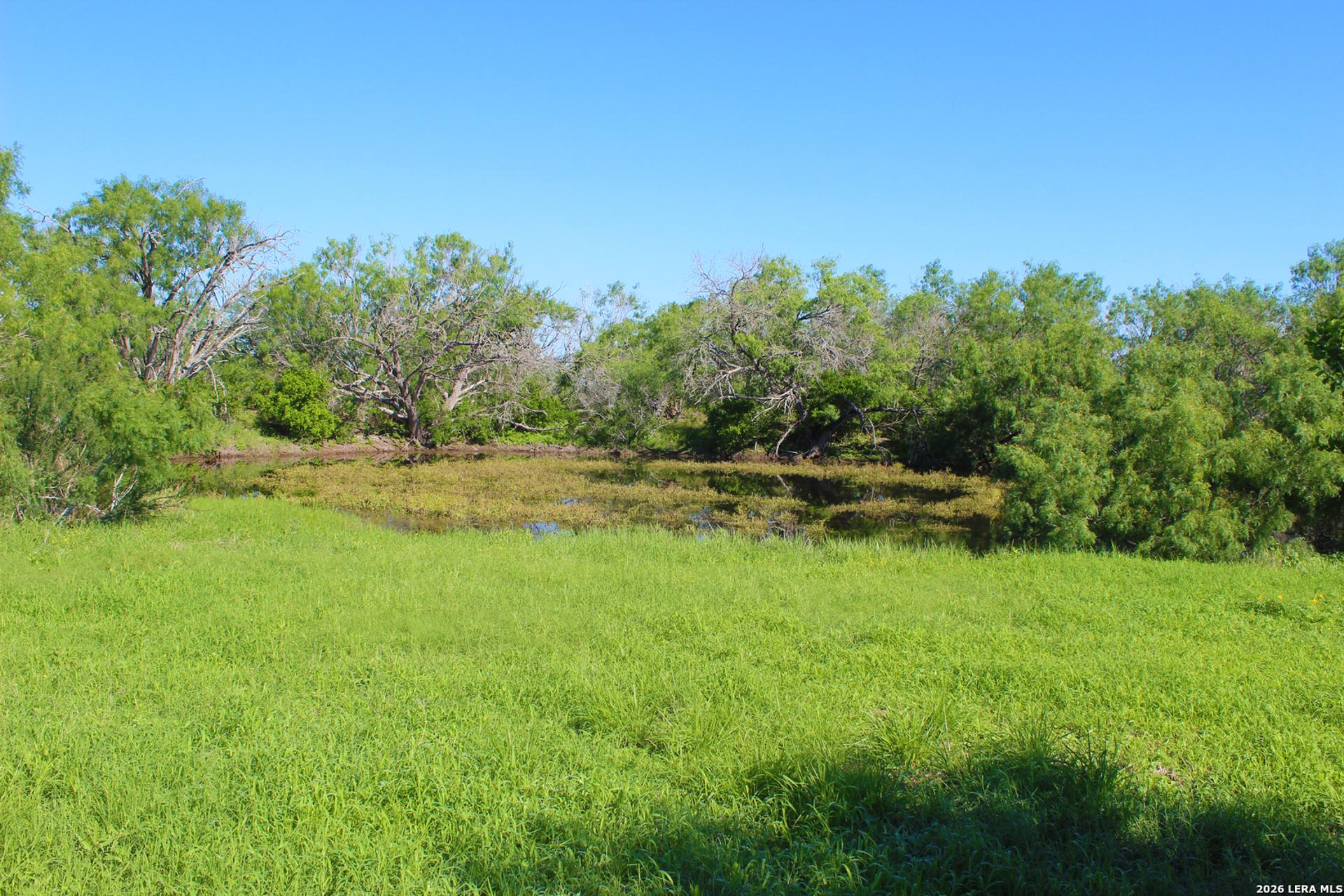 2349 CR 416, FALLS_CITY, TX, 78113