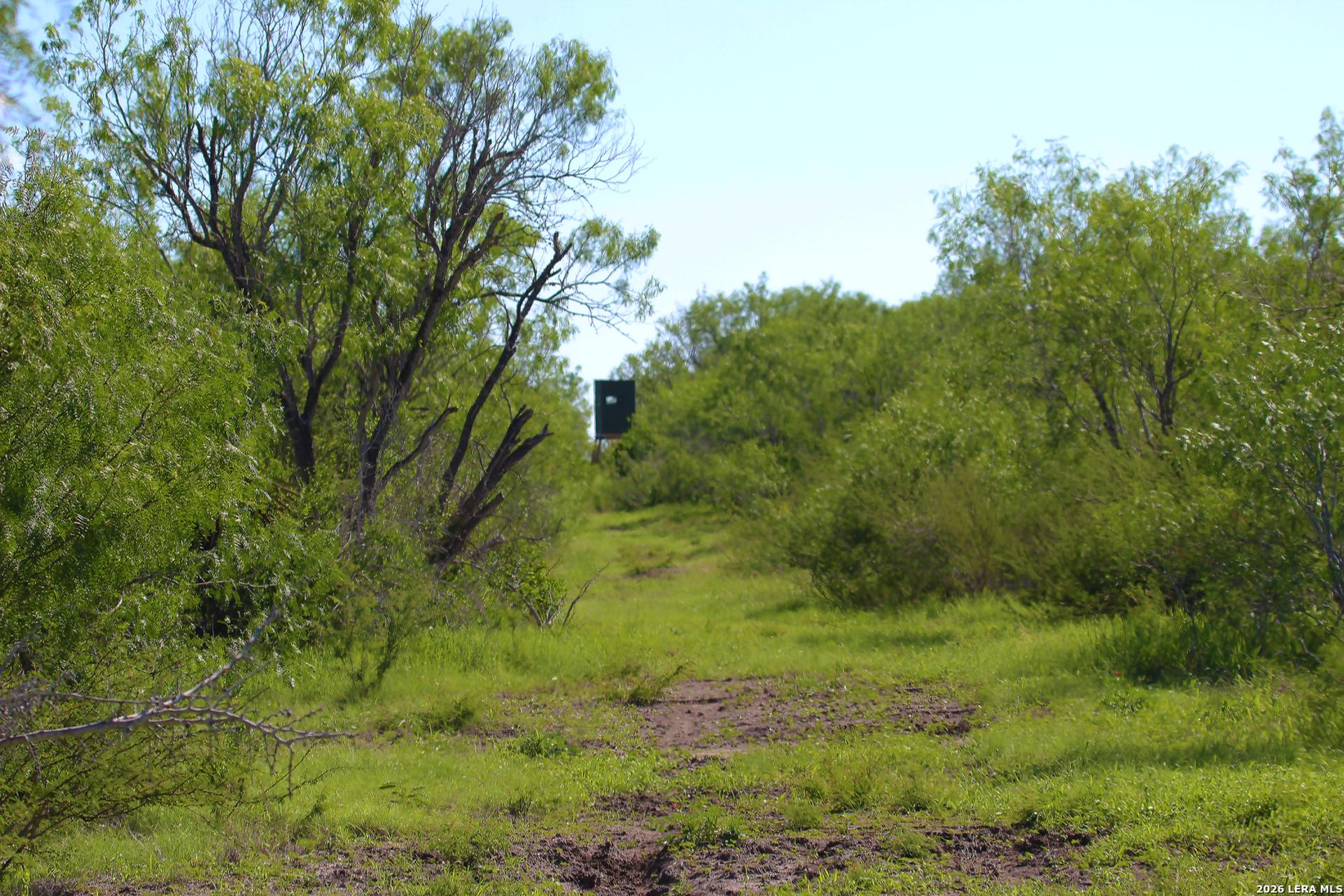 2349 CR 416, FALLS_CITY, TX, 78113