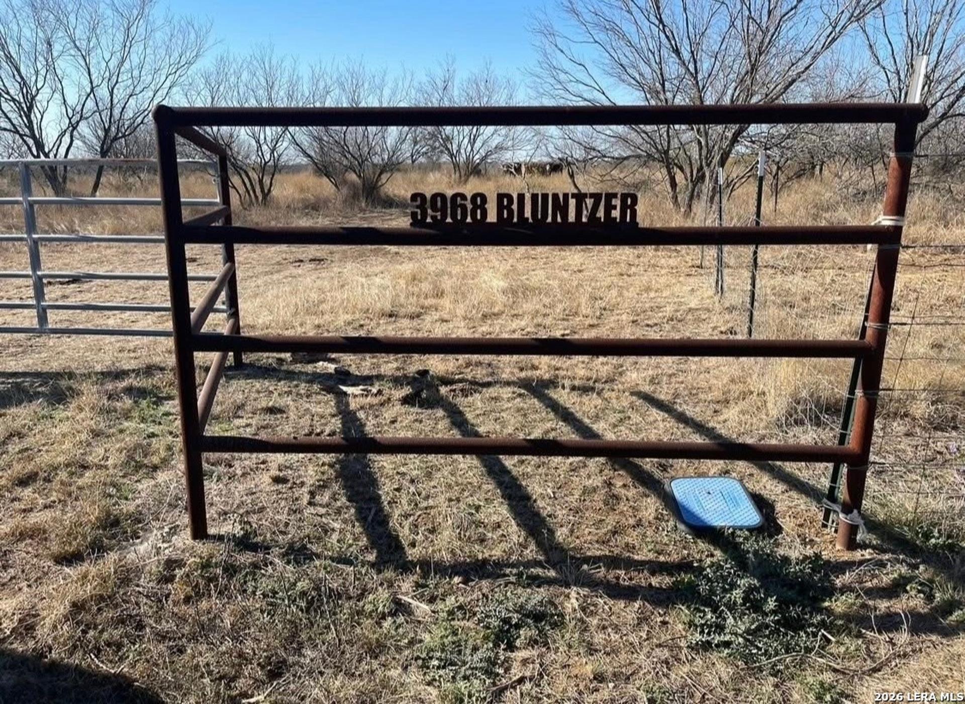 3968 Bluntzer Rd, JOURDANTON, TX, 78026