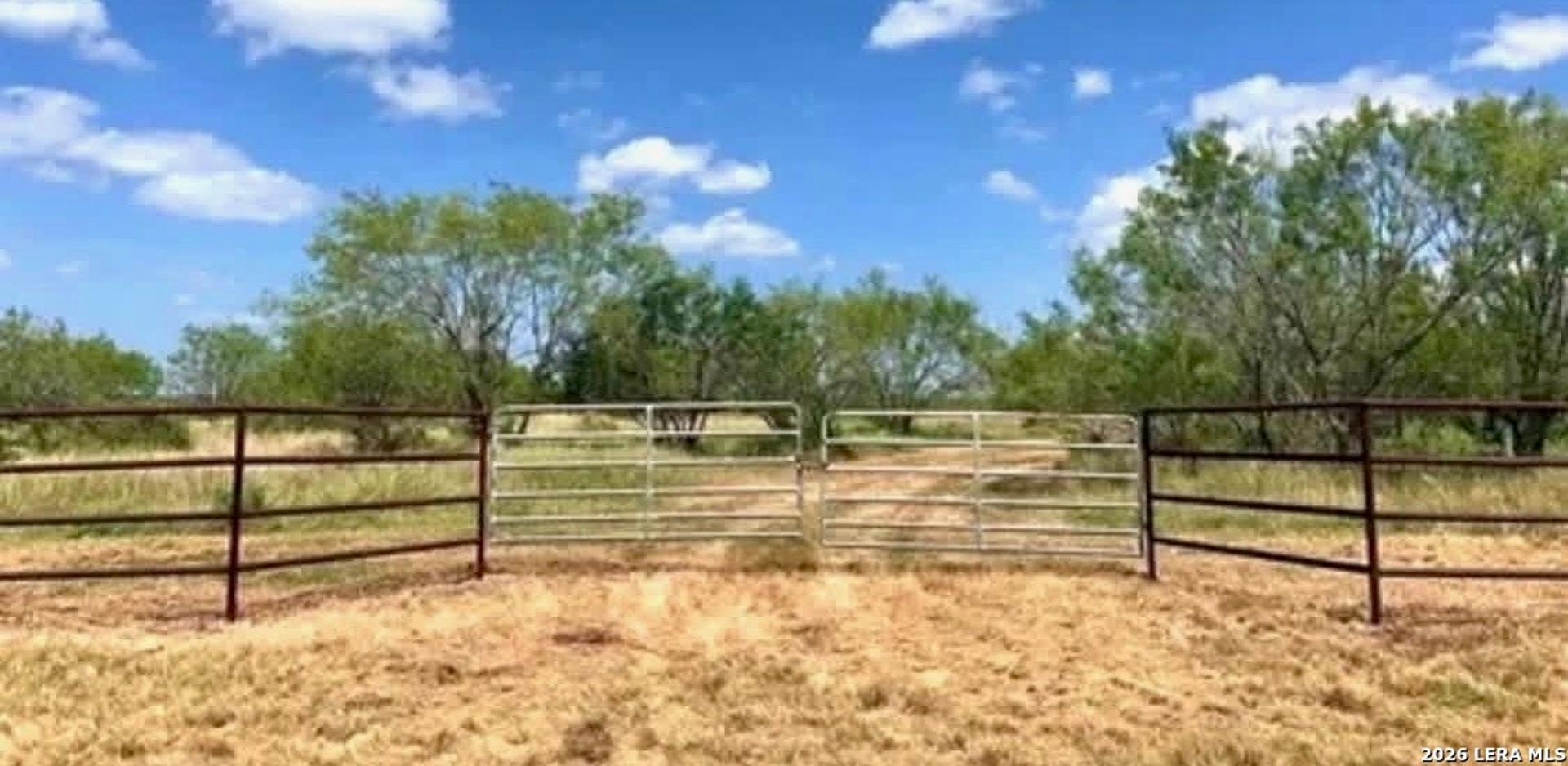 3968 Bluntzer Rd, JOURDANTON, TX, 78026