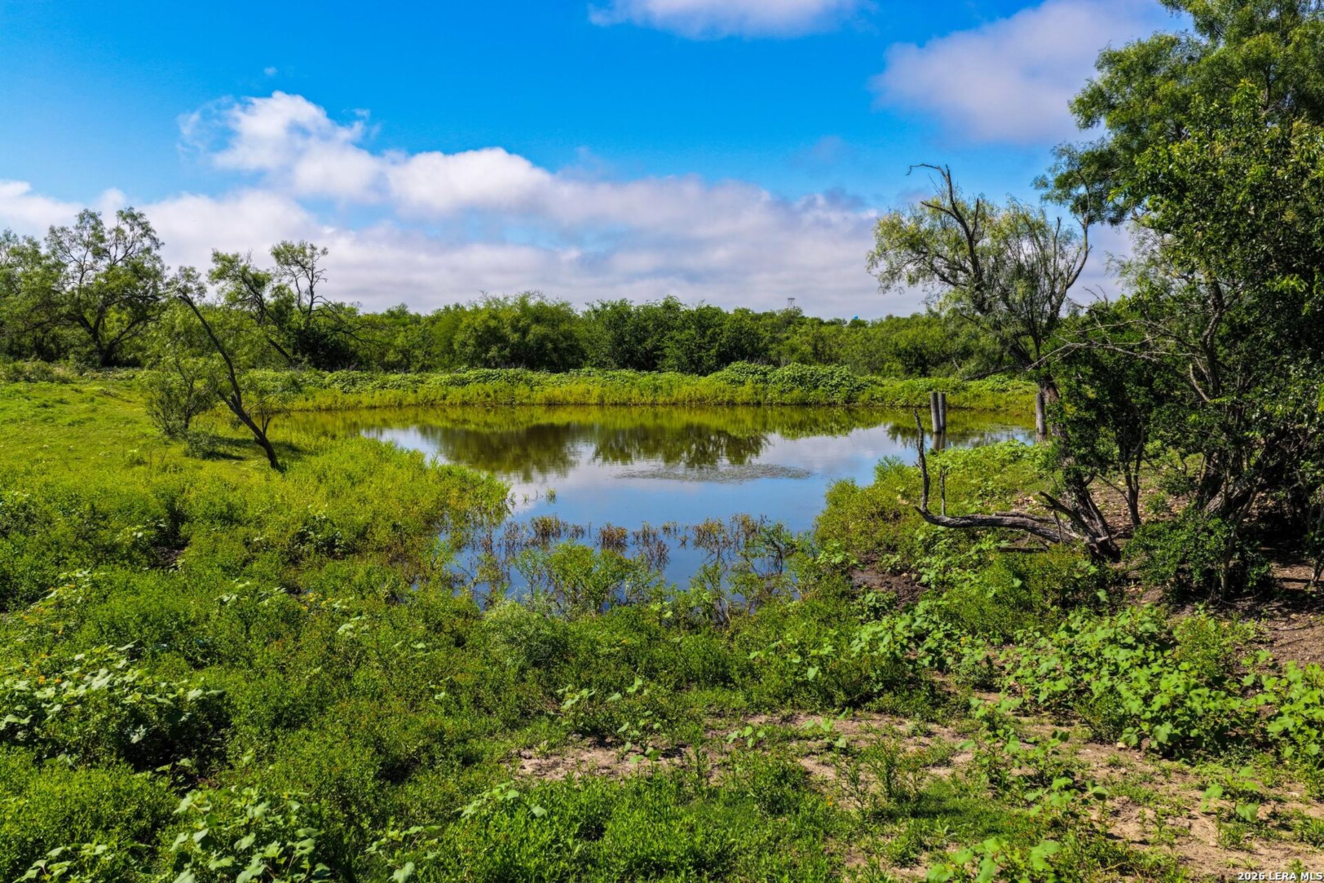 000 Private Road 5754, CASTROVILL, TX, 78009
