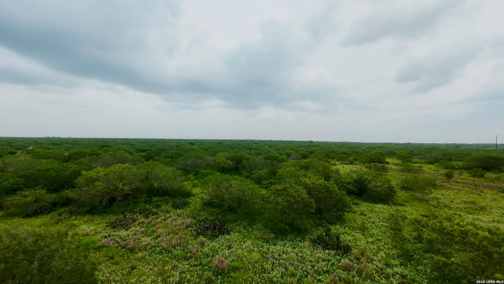 0 Farm to Market Rd 3249, REALITOS, TX, 78376