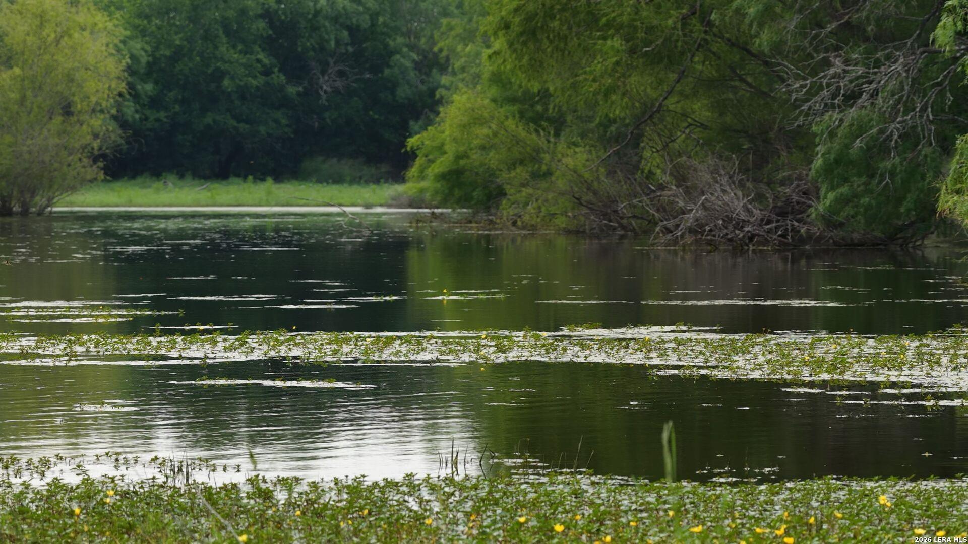 3833 County Road 2880, BIG_FOOT, TX, 78005