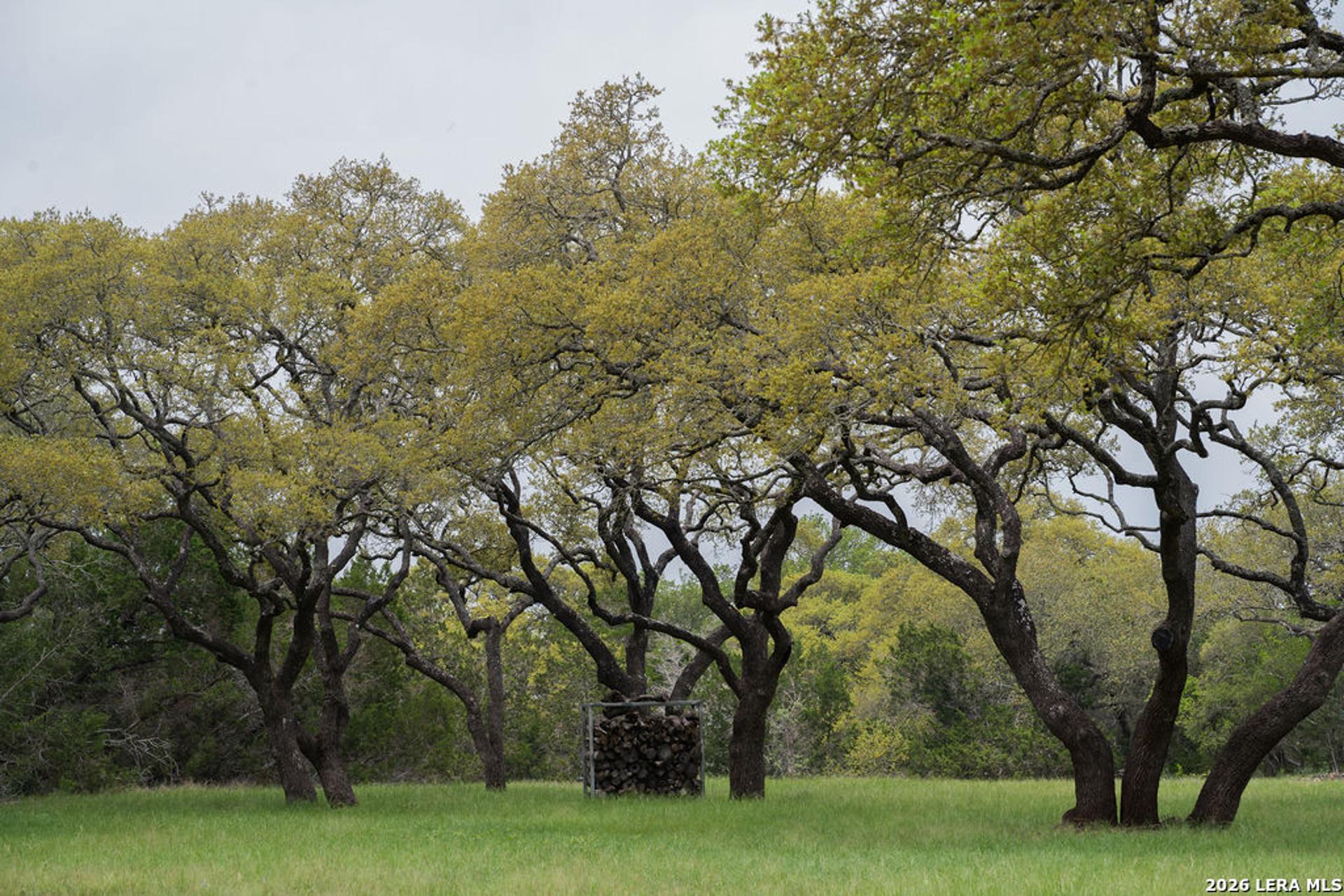 426 MILL RUN, NEWBRAUNFE, TX, 78132