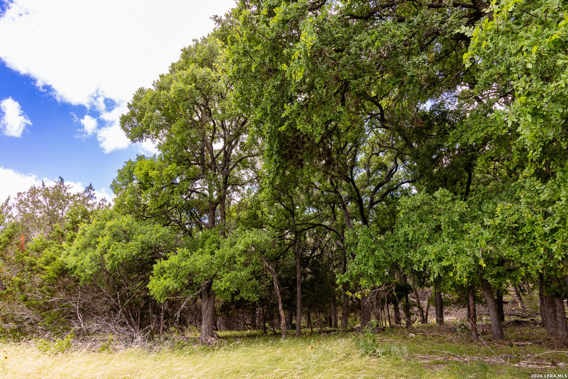 289 Hoot Owl Hollow, INGRAM, TX, 78025