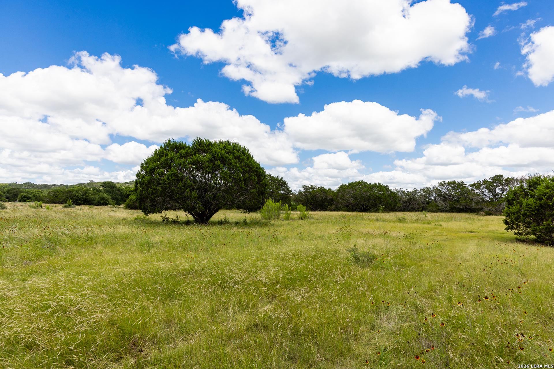 289 Hoot Owl Hollow, INGRAM, TX, 78025