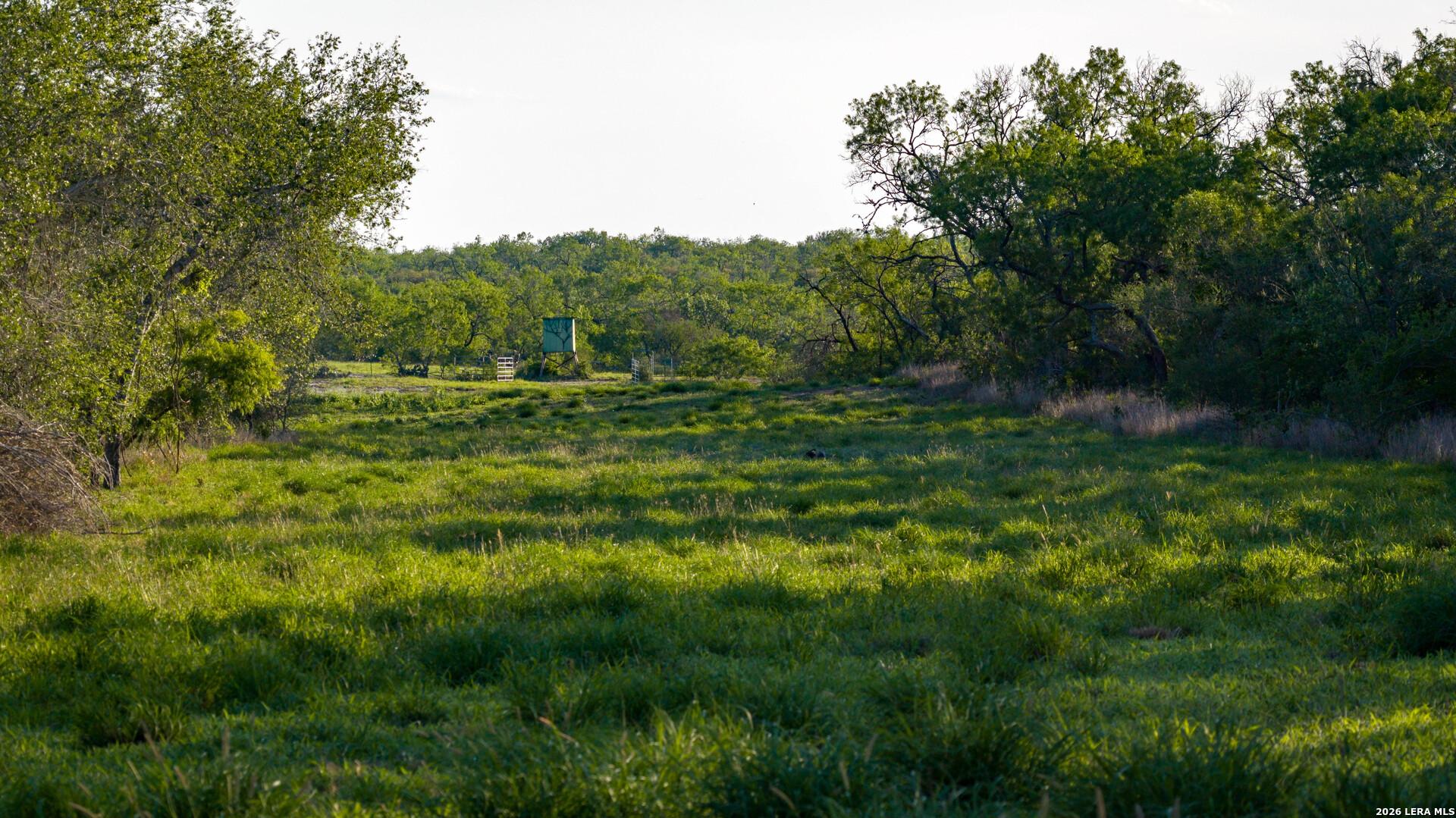 18000 FM 791, CAMBELLTON, TX, 78008