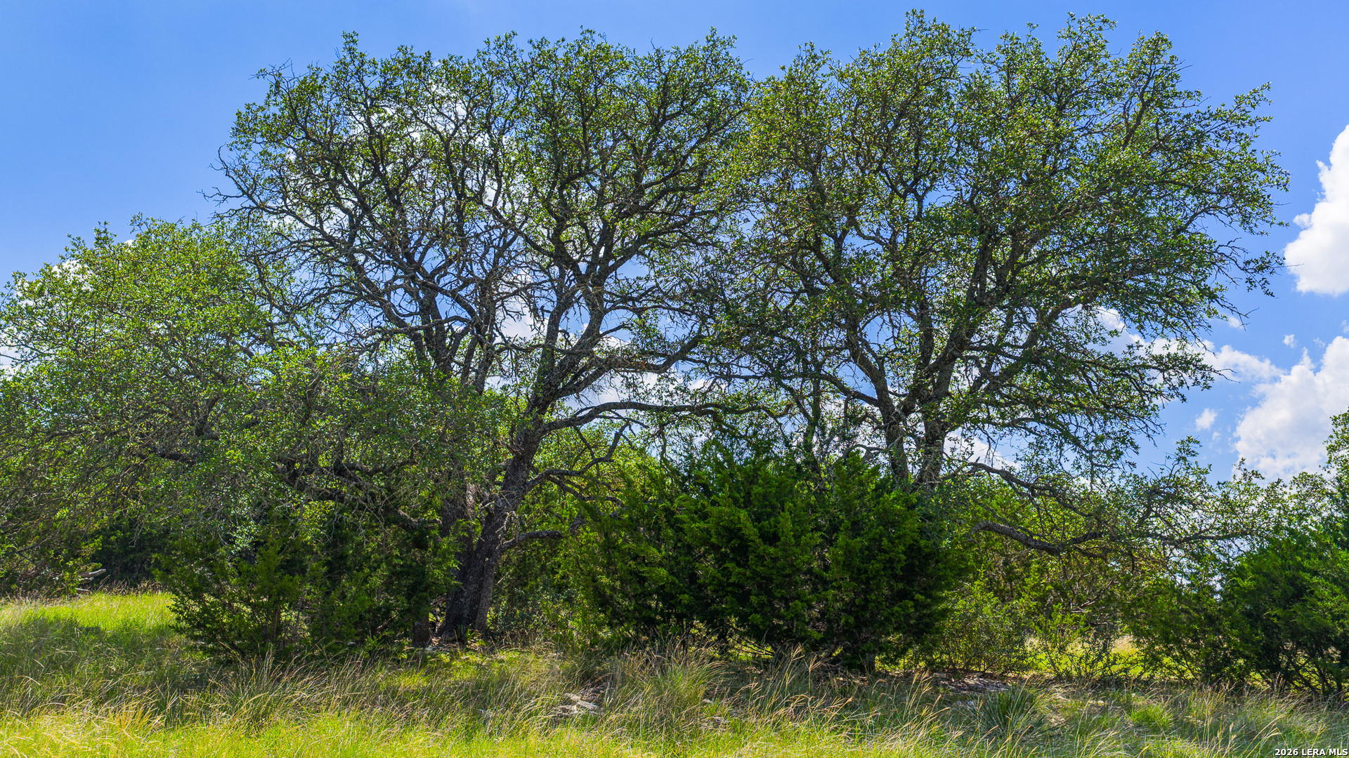 TBD KC 442, HARPER, TX, 78631