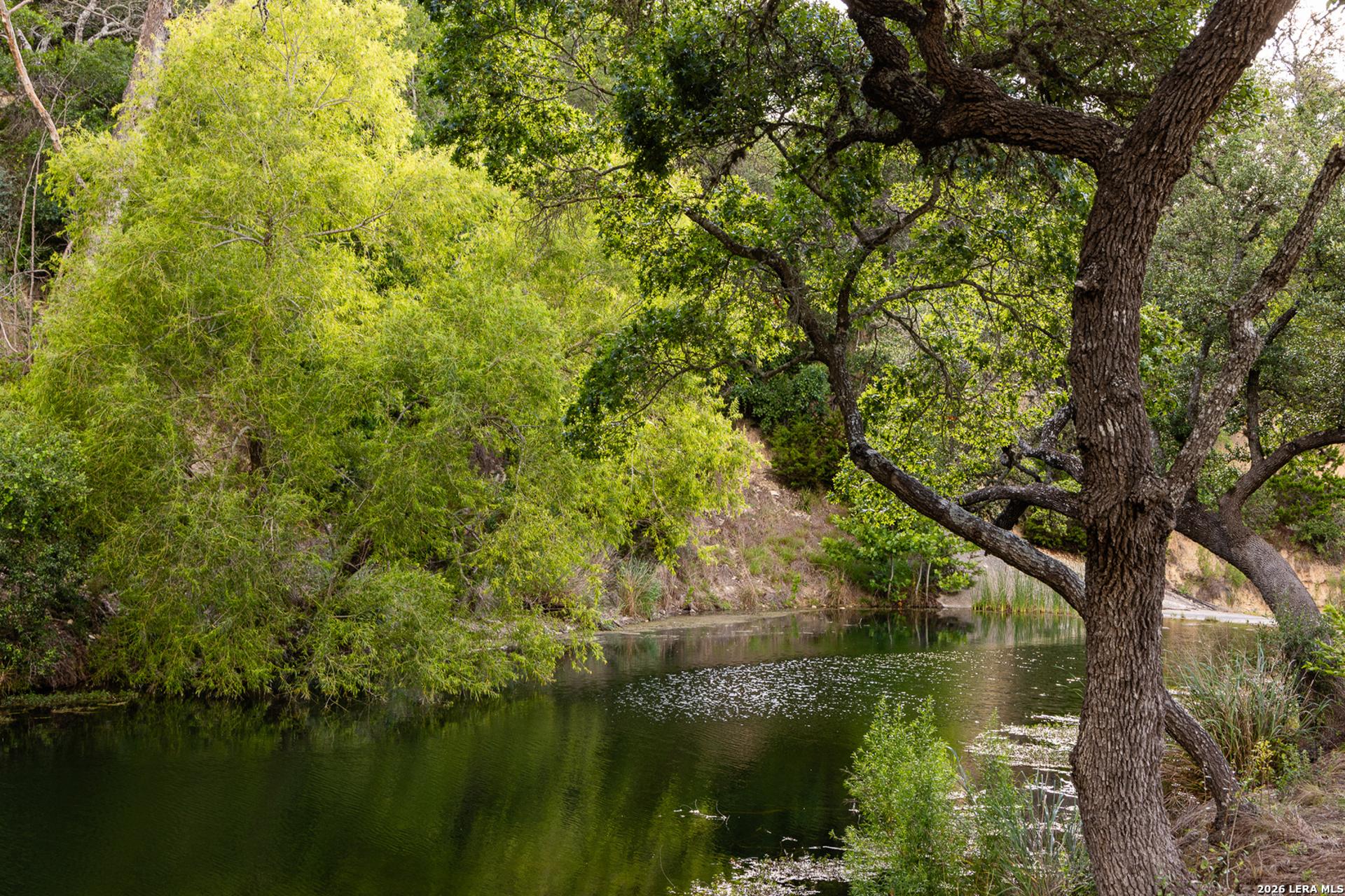 161 Flach Ranch Rd, COMFORT, TX, 78013