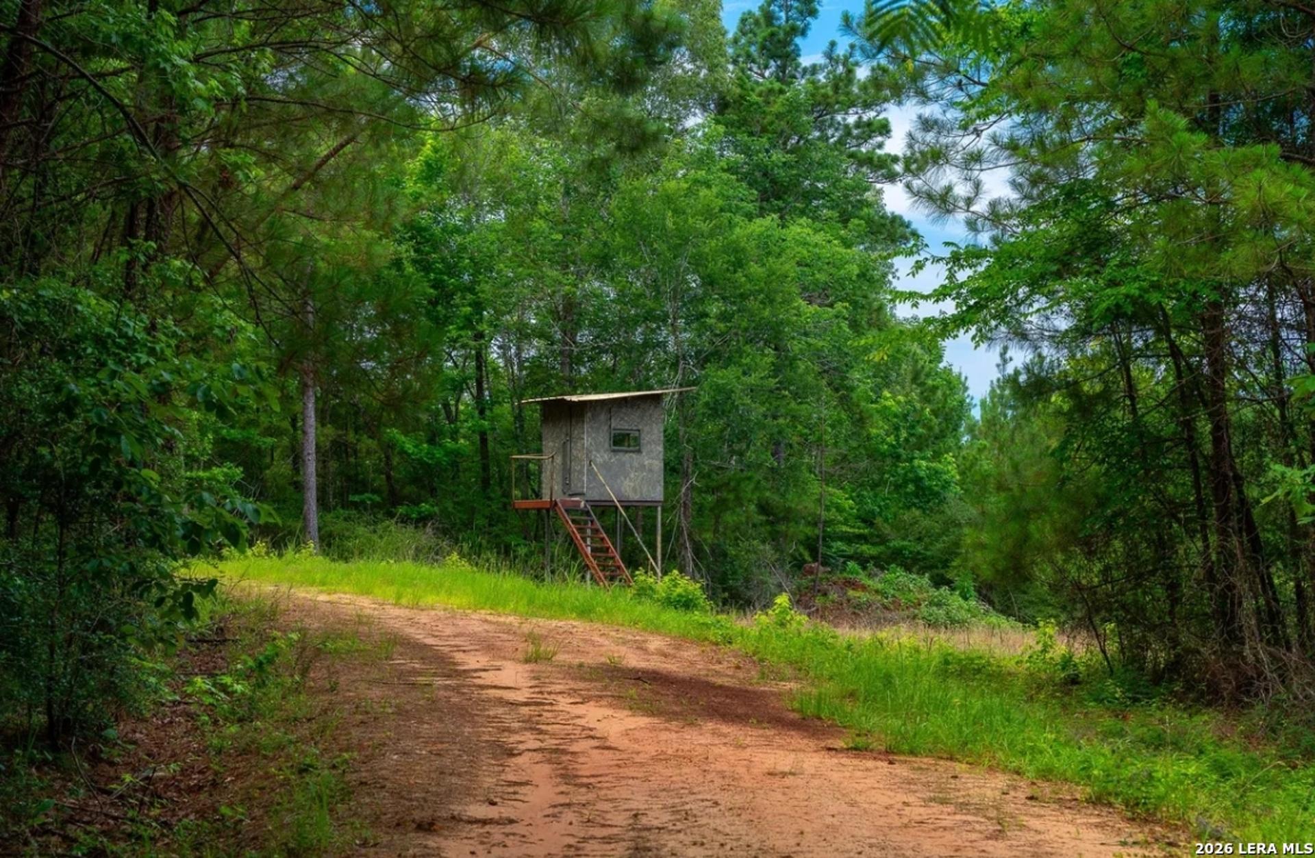 540 WELLS LN, NOCITY, TX, 75972