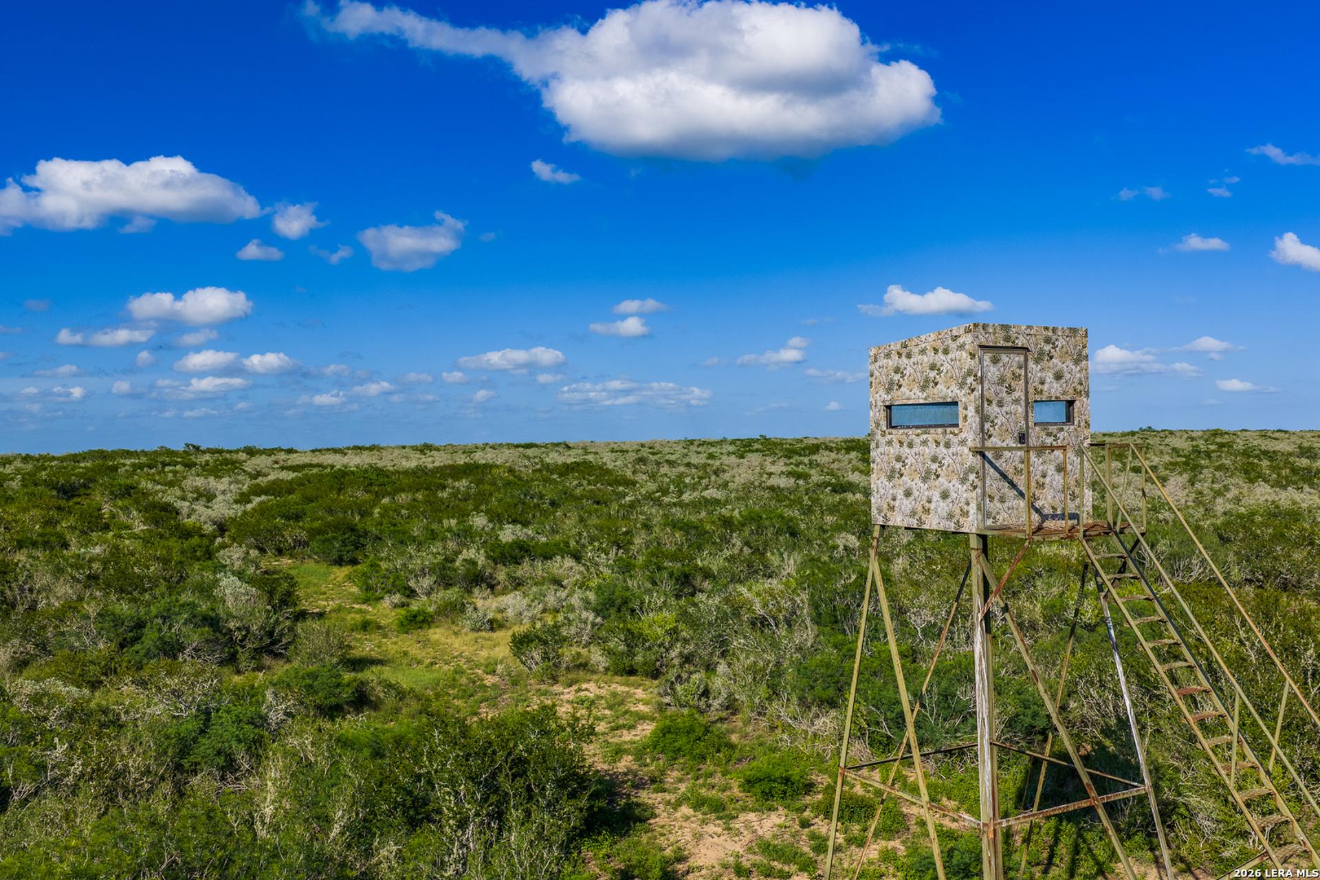 111 Los Lomas Ranch Road, FREER, TX, 78357