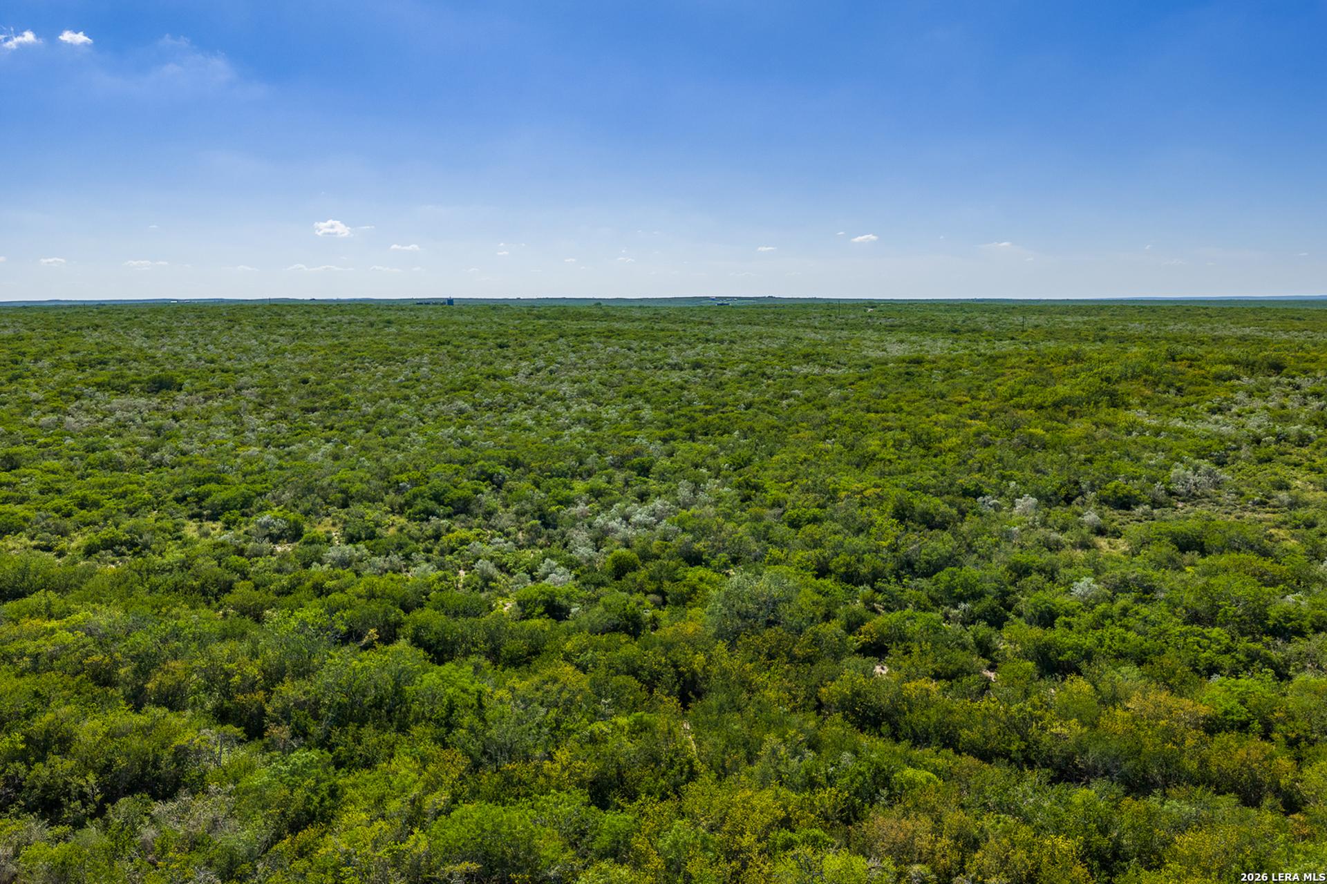 111 Los Lomas Ranch Road, FREER, TX, 78357