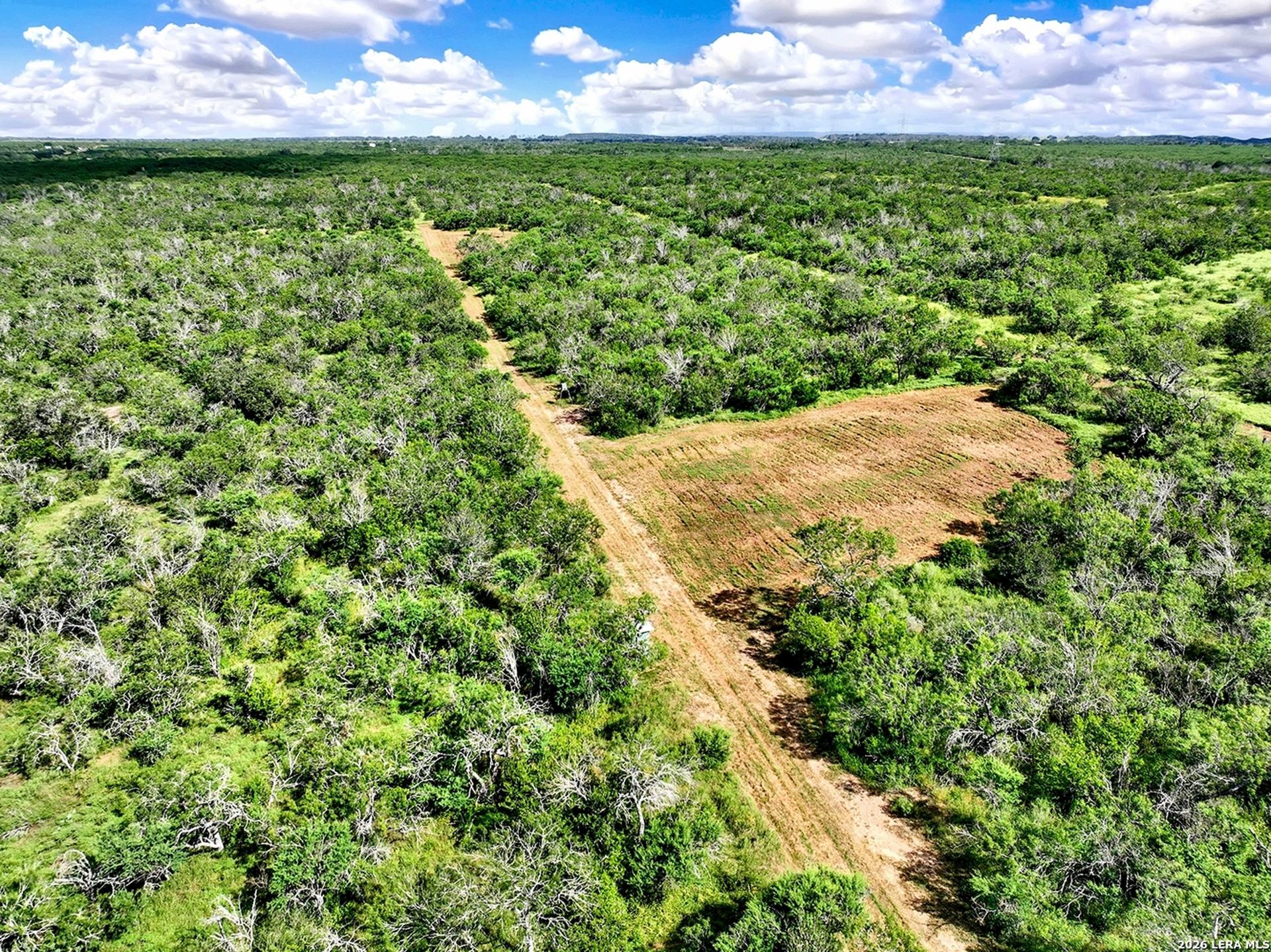1591 County Road 476, STOCKDALE, TX, 78160