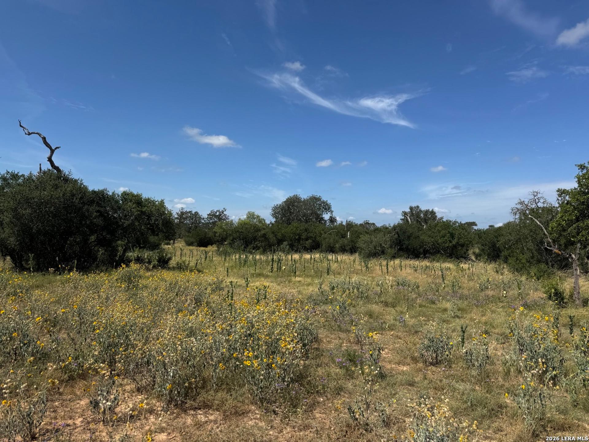 1864 Panther Hollow, BANDERA, TX, 78003