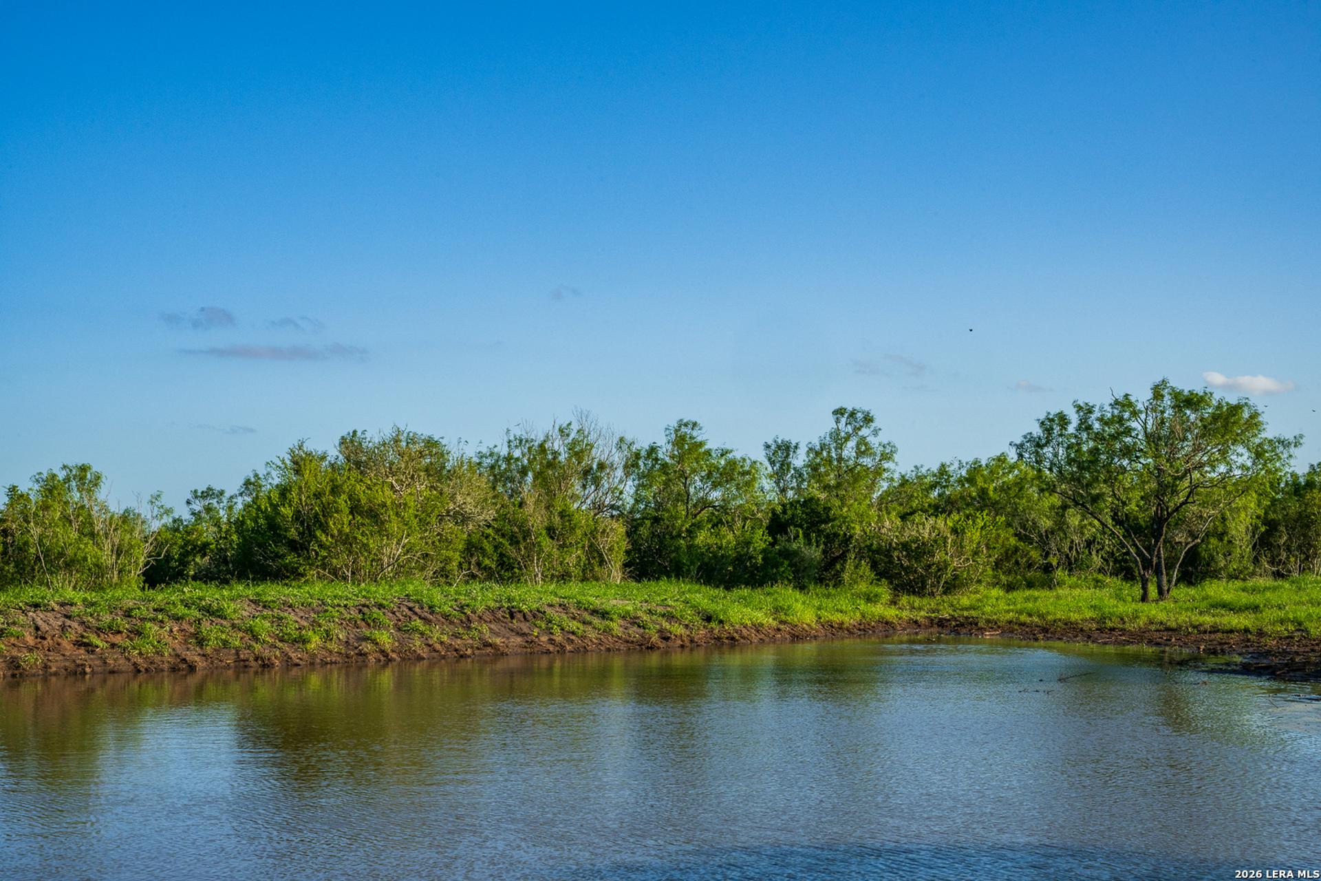 TBD State Highway 16, FREER, TX, 78357