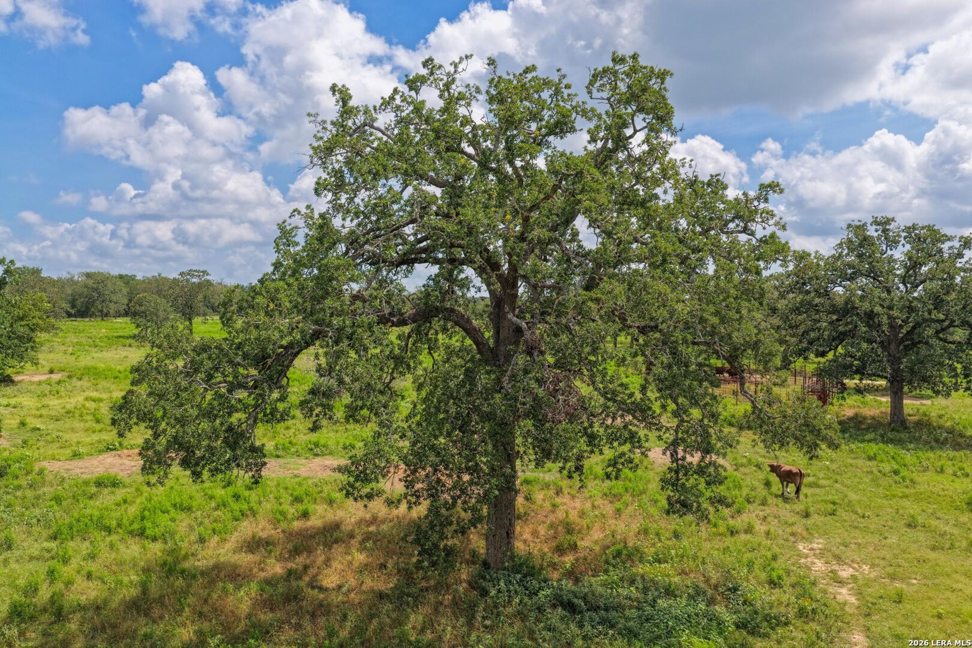 5501 Old Colony Line Rd, LOCKHART, TX, 78644
