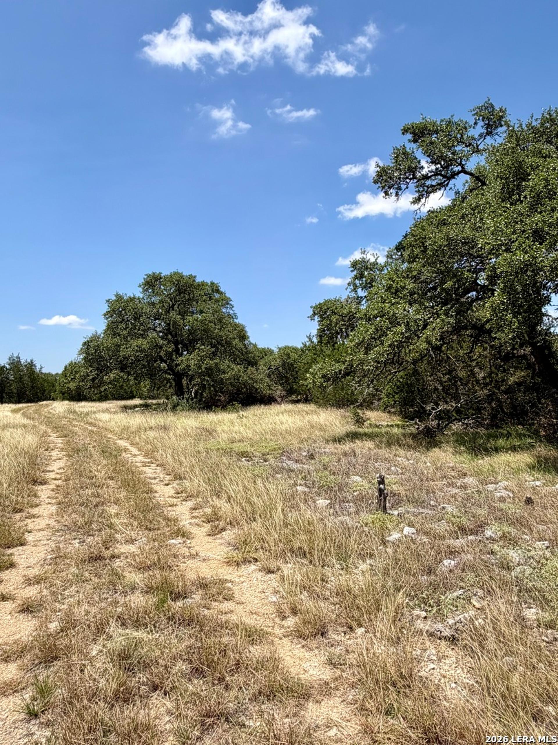 43 ACRES Sattler Rd., SPRINGBRAN, TX, 78070