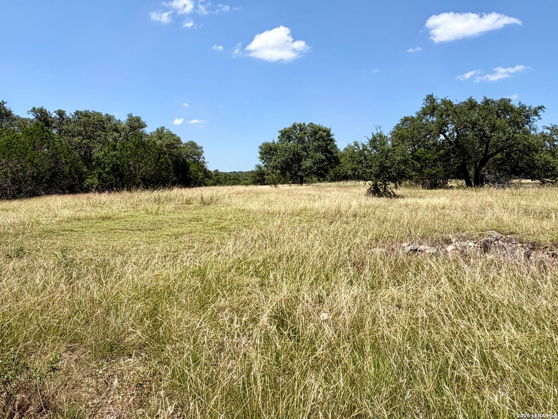 43 ACRES Sattler Rd., SPRINGBRAN, TX, 78070