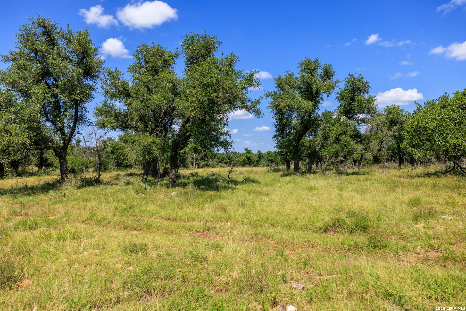 2656 Meier Road, FREDERICKS, TX, 78624