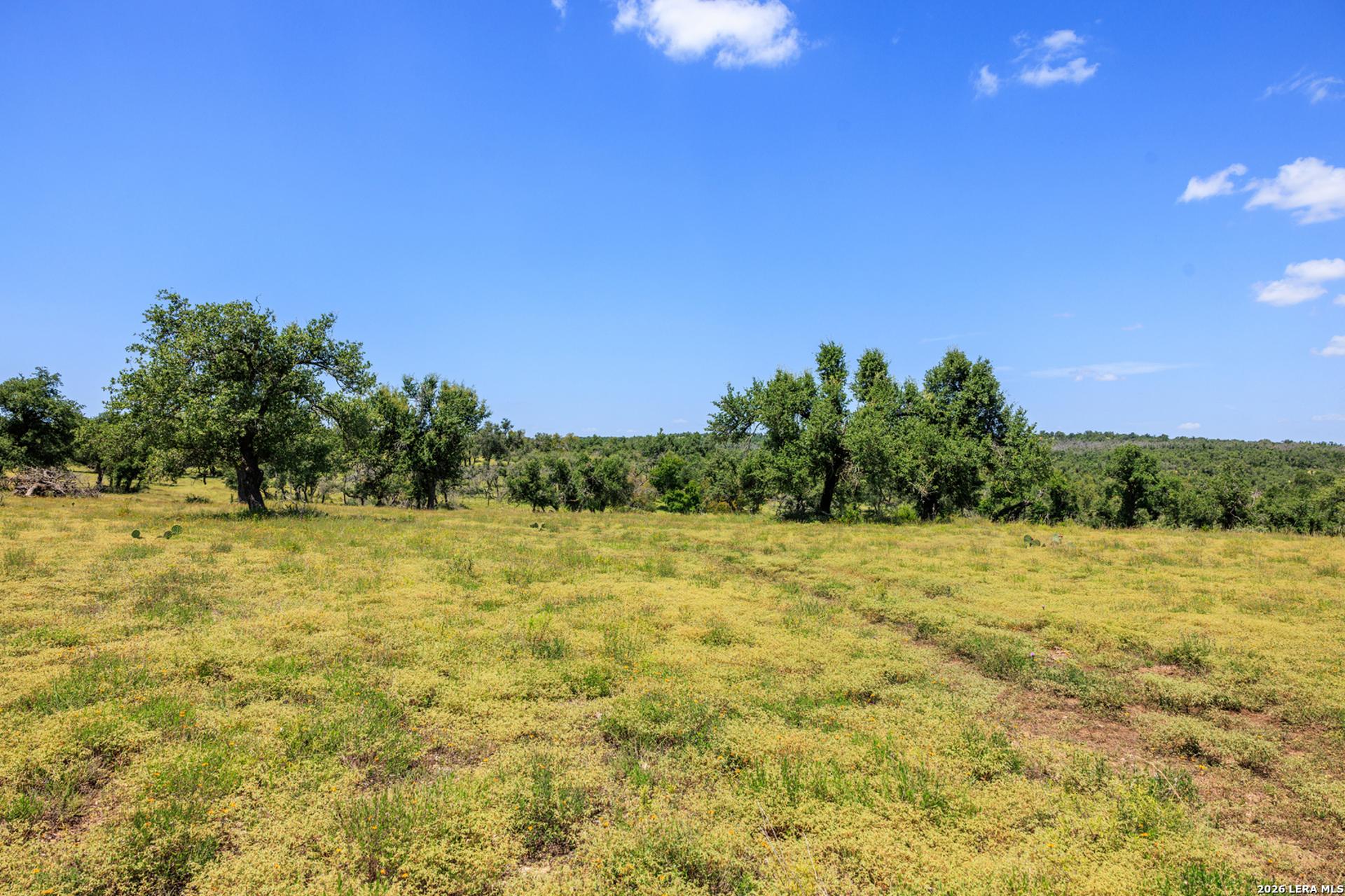 2656 Meier Road, FREDERICKS, TX, 78624